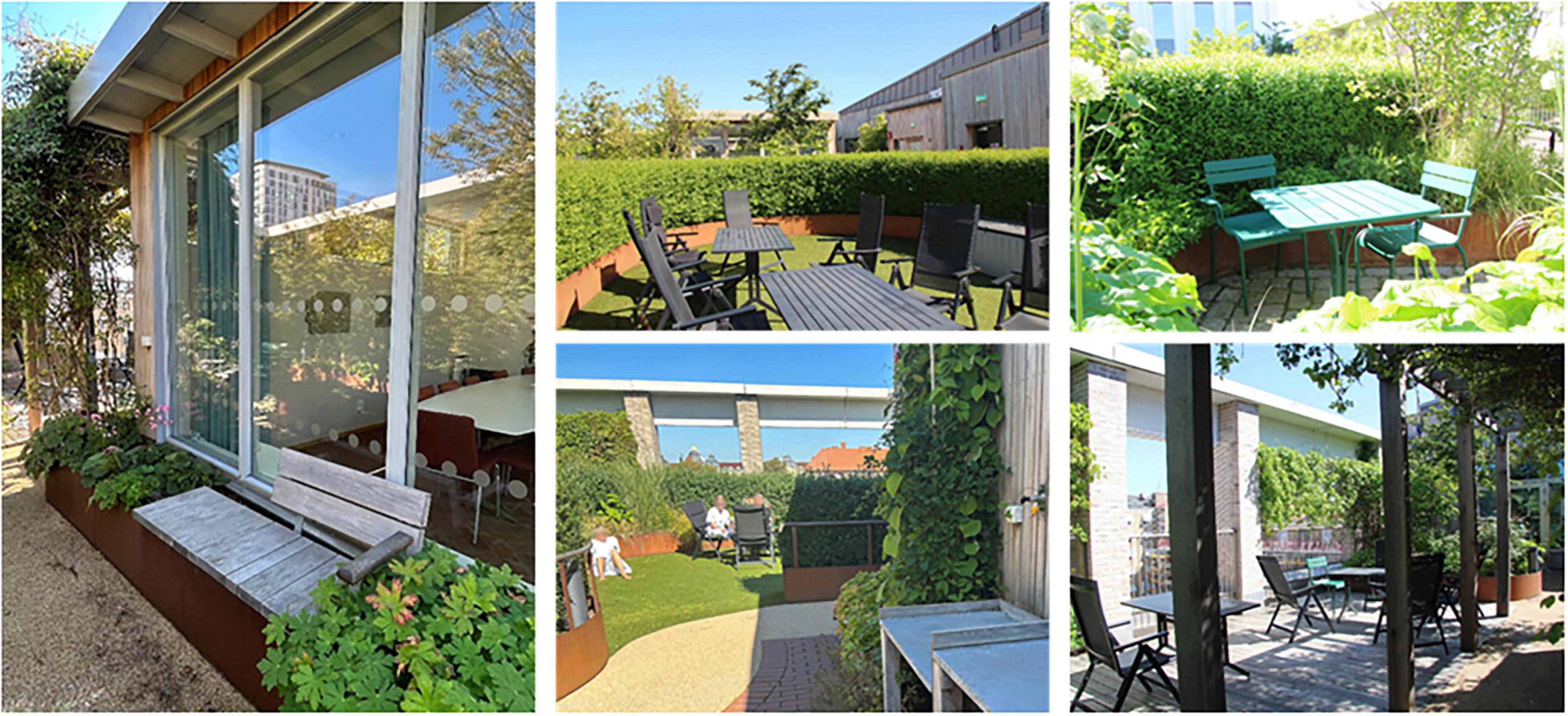 Five images depicting a rooftop garden area. The first shows a glass-walled section of a pavilion with a wooden bench and planters outside. The second and third images display different seating arrangements with tables and chairs surrounded by hedges. The fourth image features a pathway and people sitting on a lawn in the background. The fifth image shows a shaded seating area with vines on a trellis.