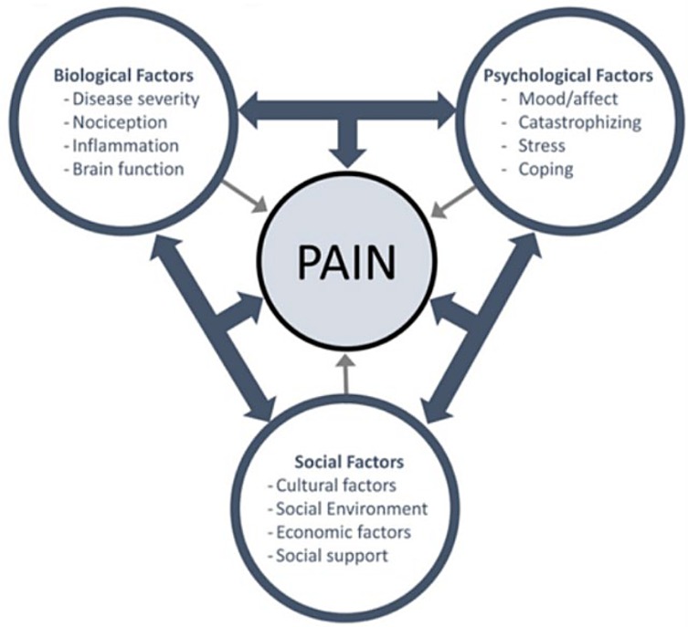Diagram illustrating the multifactorial model of pain. The central circle labeled \