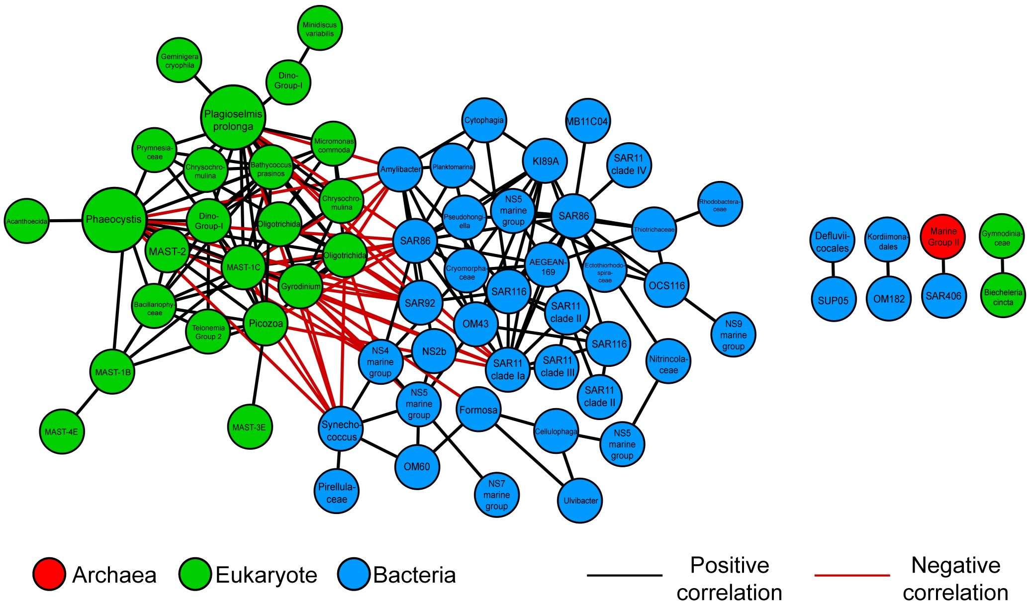 Consensus Network diagram illustrating correlations among microbial groups found in all three regions. Nodes represent different organisms: red for archaea, green for eukaryotes, and blue for bacteria. Black lines indicate positive correlations while red lines indicate negative correlations.