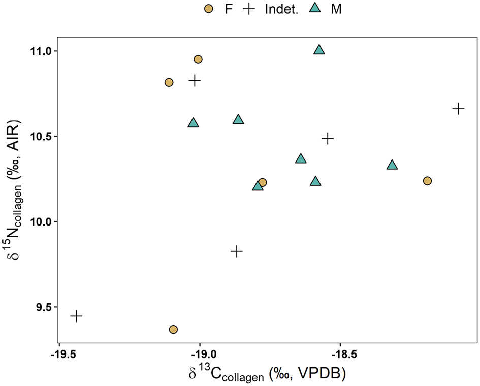 Scatter plot showing δ¹³Cₒₗₗₐgₑₙ on the x-axis and δ¹⁵Nₒₗₗₐgₑₙ on the y-axis. Data points are marked with different symbols: orange circles for F, crosses for Indet., and triangles for M. Points are distributed between -19.5 to -18.5 on the x-axis and 9.5 to 11.0 on the y-axis.