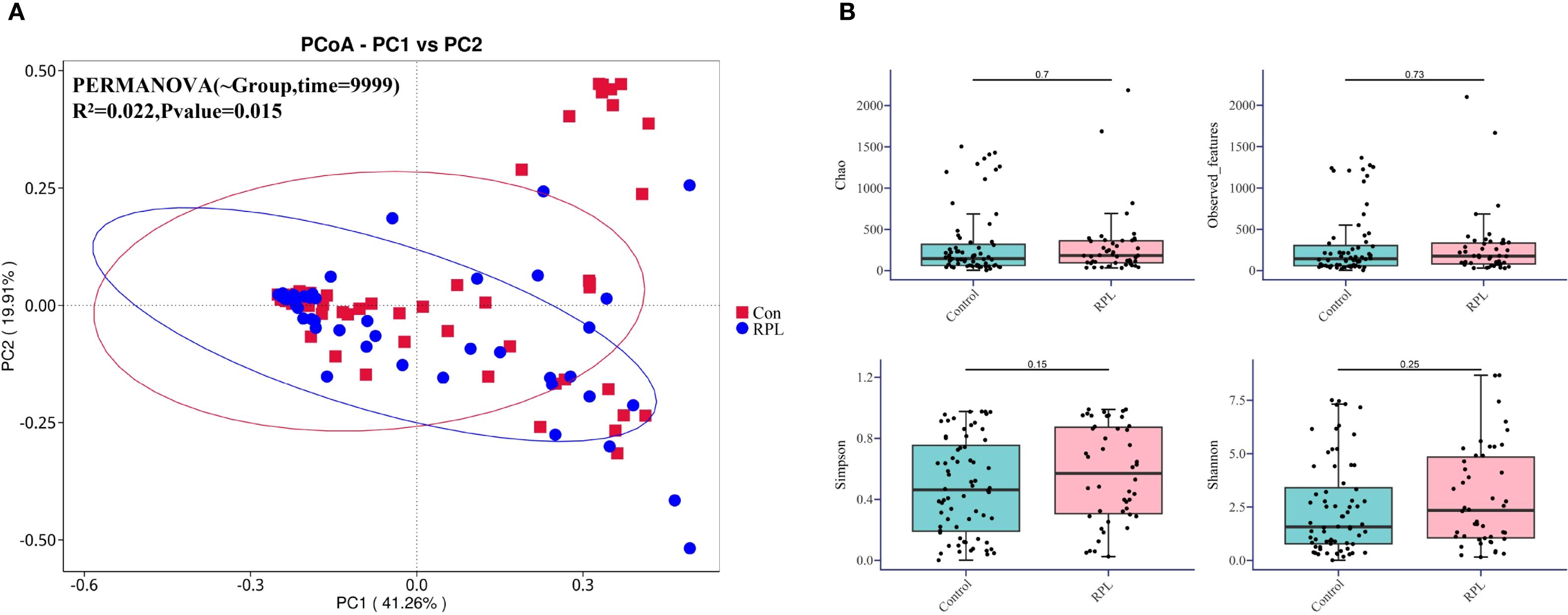 Panel A displays a PCoA plot comparing PC1 and PC2, showing two groups: red squares (Con) and blue circles (RPL) with ellipses around them. Panel B contains four box plots comparing Control and RPL groups across four metrics: Chao, Observed Features, Simpson, and Shannon, with respective p-values noted above the comparisons.