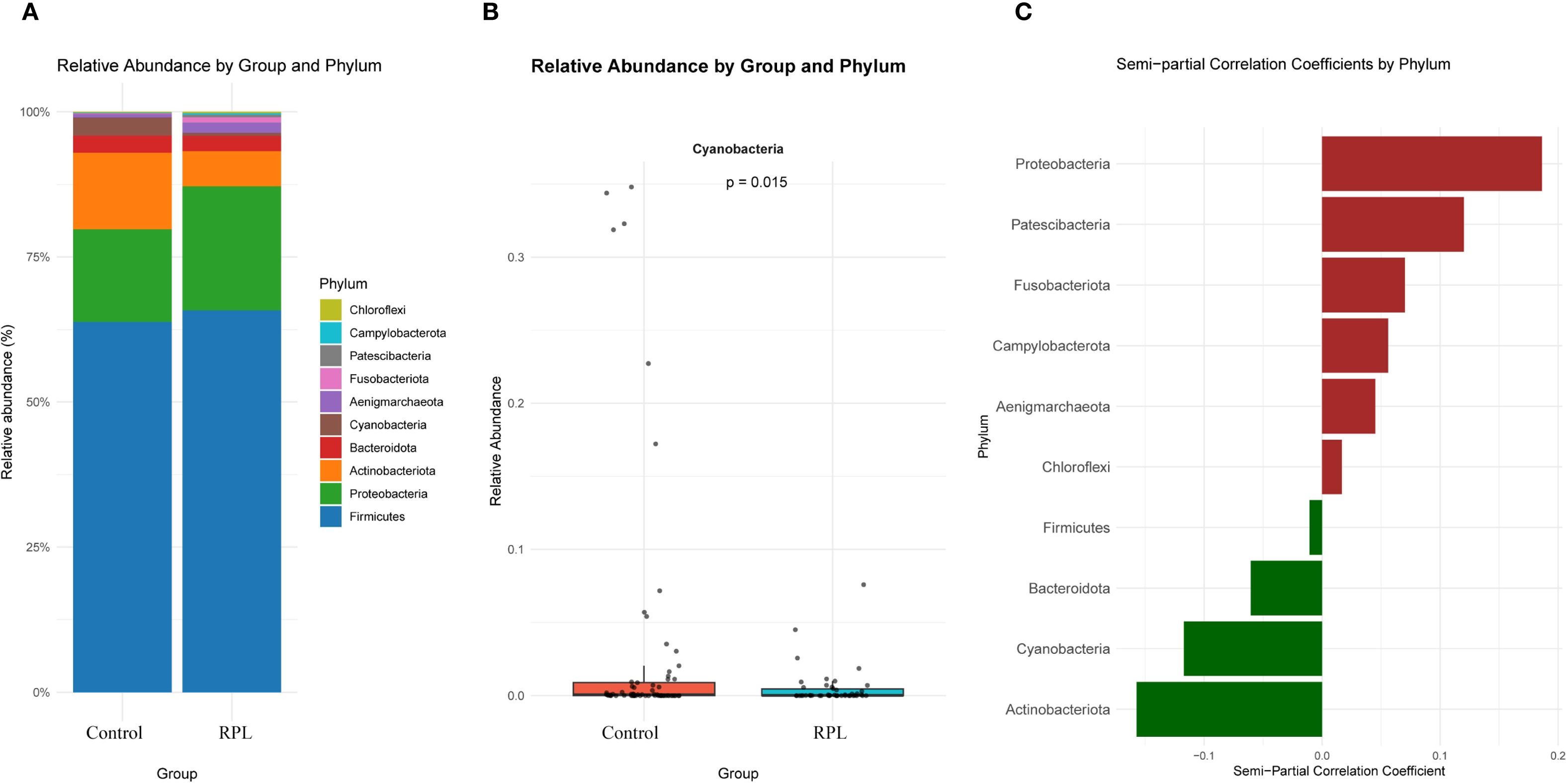 Panel A displays a stacked bar chart showing the relative abundance of bacterial phyla in Control and RPL groups, with Phylum classifications including Firmicutes and Proteobacteria. Panel B is a box plot depicting Cyanobacteria's relative abundance across groups, highlighting a p-value of 0.015. Panel C presents a bar chart of semi-partial correlation coefficients by phylum, with positive coefficients for Proteobacteria and negative for Actinobacteriota.
