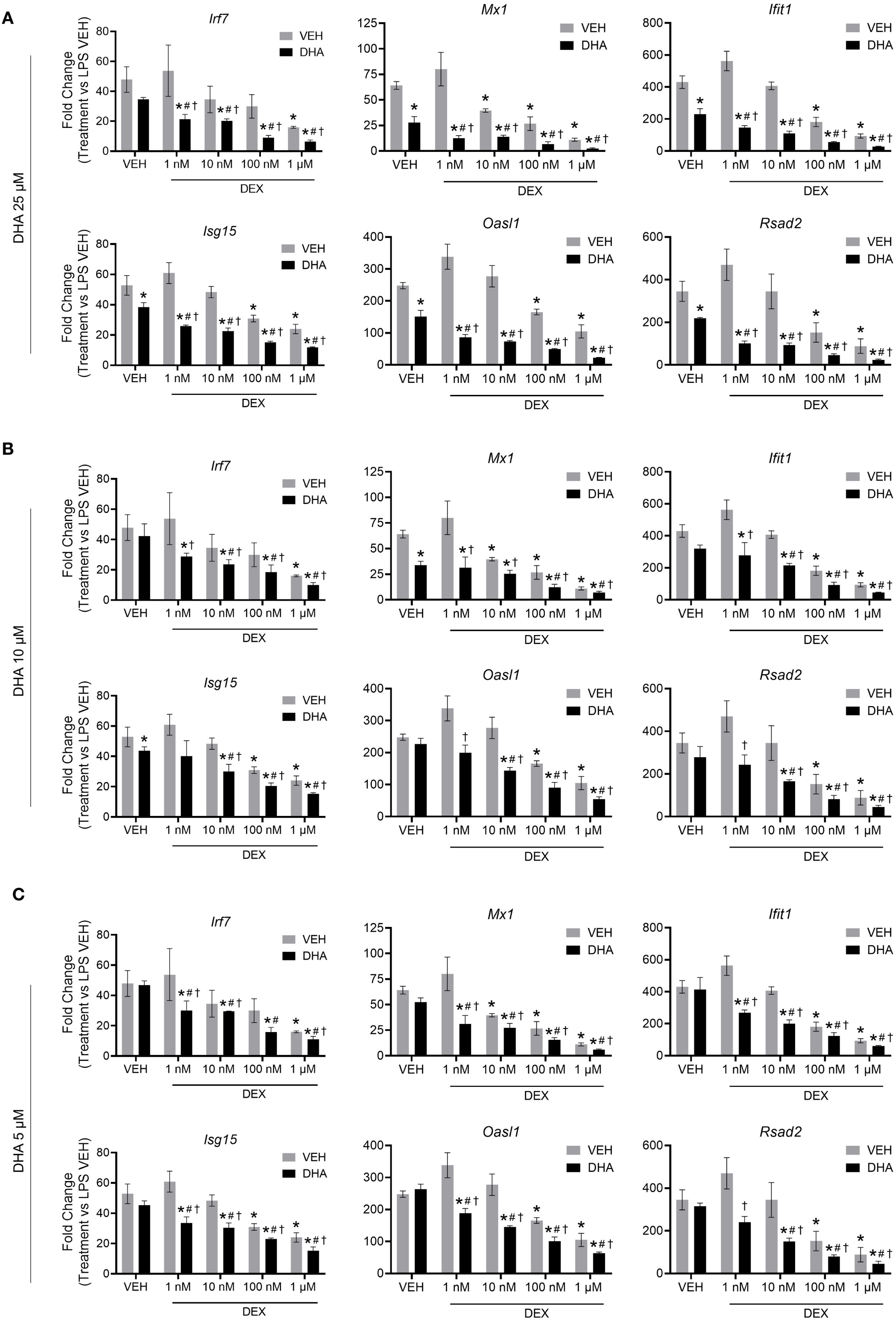 Bar graphs showing fold change in gene expression for Irf7, Mx1, Ifit1, Isg15, Oasl1, and Rsad2 across three panels (A, B, C). Panels represent different DHA concentrations: 25 micromolar, 10 micromolar, and 5 micromolar. Each graph compares vehicle (VEH) and dexamethasone (DEX) treatments at various concentrations (1 nanomolar to 1 micromolar). Error bars denote variability. Asterisks and other symbols indicate statistical significance.