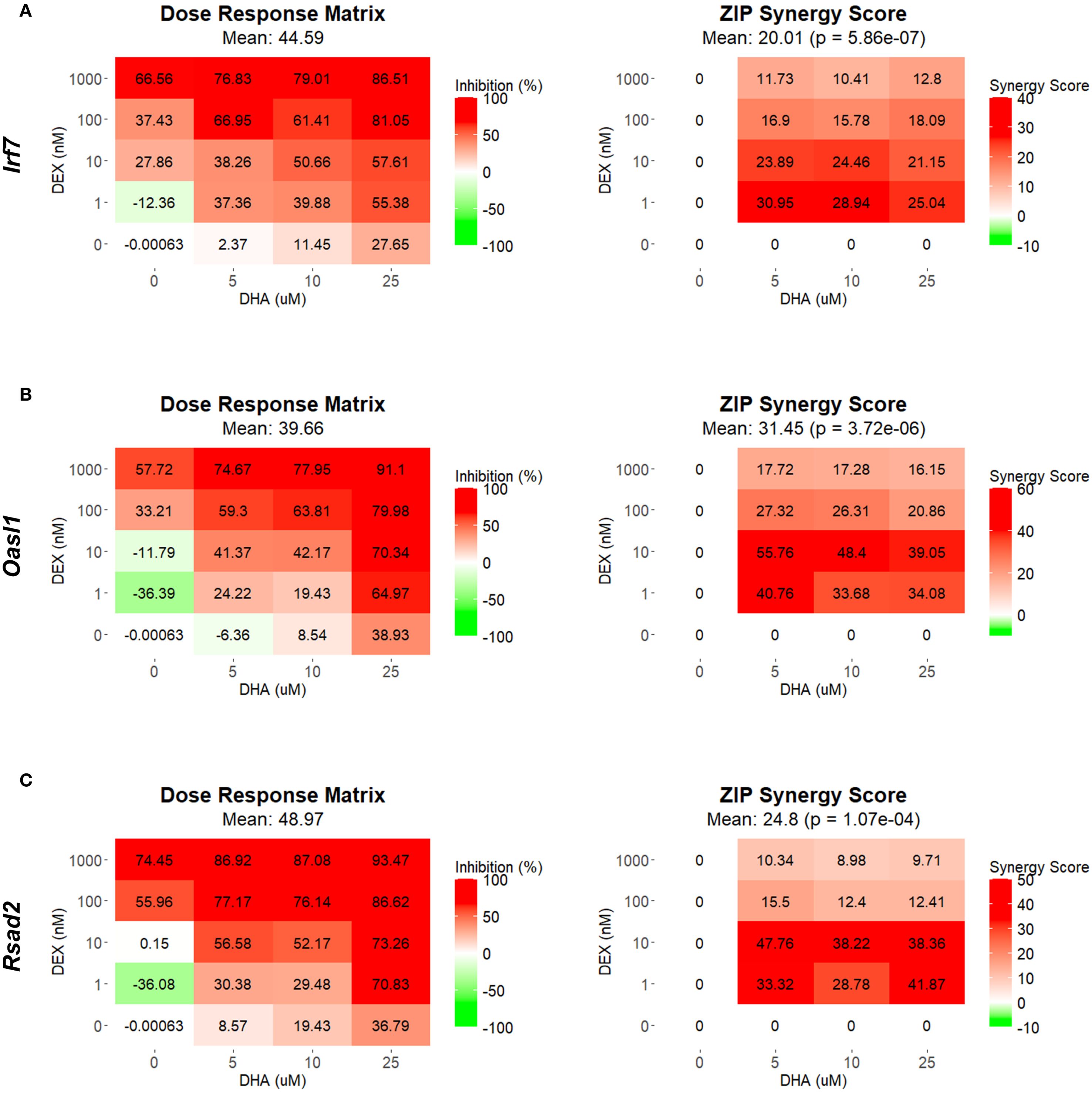 Three panels (A, B, and C) display dose response matrices and ZIP synergy scores for different treatments. Each panel includes a heatmap showing inhibition percentages based on DEX and DHA concentrations, with red indicating high inhibition and green indicating low or negative inhibition. The right side of each panel shows the corresponding synergy scores, also using a red-to-green color gradient. Panel A focuses on Irf7, panel B on Oasl1, and panel C on Rsad2, with varying mean values and p-values for the ZIP synergy scores.