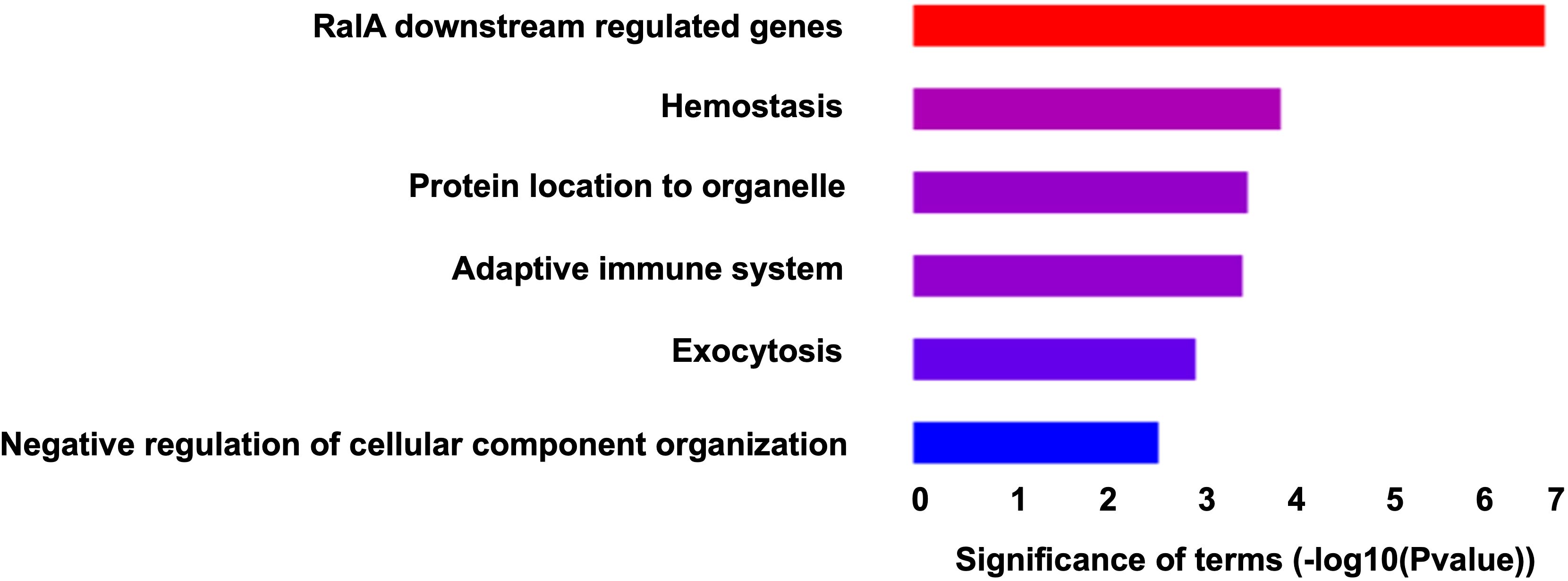 Bar chart depicting the significance of terms measured by negative logarithm of p-value. The most significant term is “RalA downstream regulated genes,” followed by “Hemostasis,” “Protein location to organelle,” “Adaptive immune system,” “Exocytosis,” and “Negative regulation of cellular component organization.