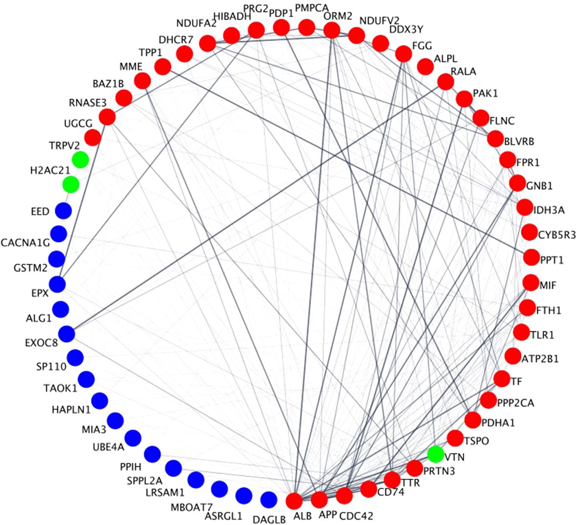 Circular network graph depicting connection between various nodes. Red and green nodes are hubs and blue nodes are non-hubs.