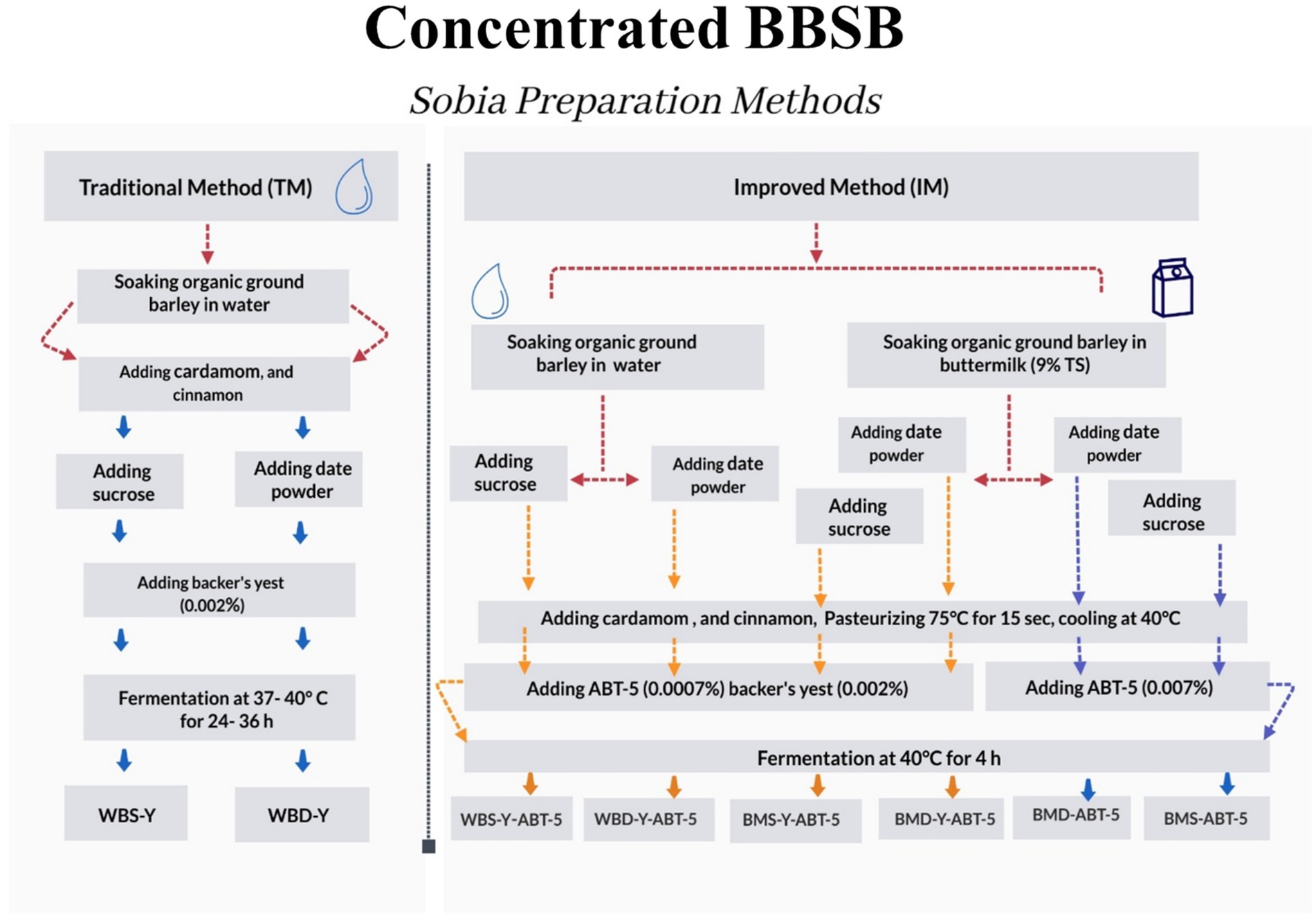Flowchart comparing traditional and improved methods for preparing concentrated BBSB. The traditional method involves soaking organic ground barley in water, adding cardamom, cinnamon, sucrose, and baker’s yeast, followed by fermentation for 24-36 hours at 37-40°C. The improved method includes two soaking options: in water or buttermilk with date powder and sucrose. Additional steps include pasteurization, cooling, adding cardamom, cinnamon, ABT-5, and baker’s yeast, followed by fermentation for 4 hours at 40°C. Pathways yield different variants marked BBS-Y or BBS-Y-ABT-5.