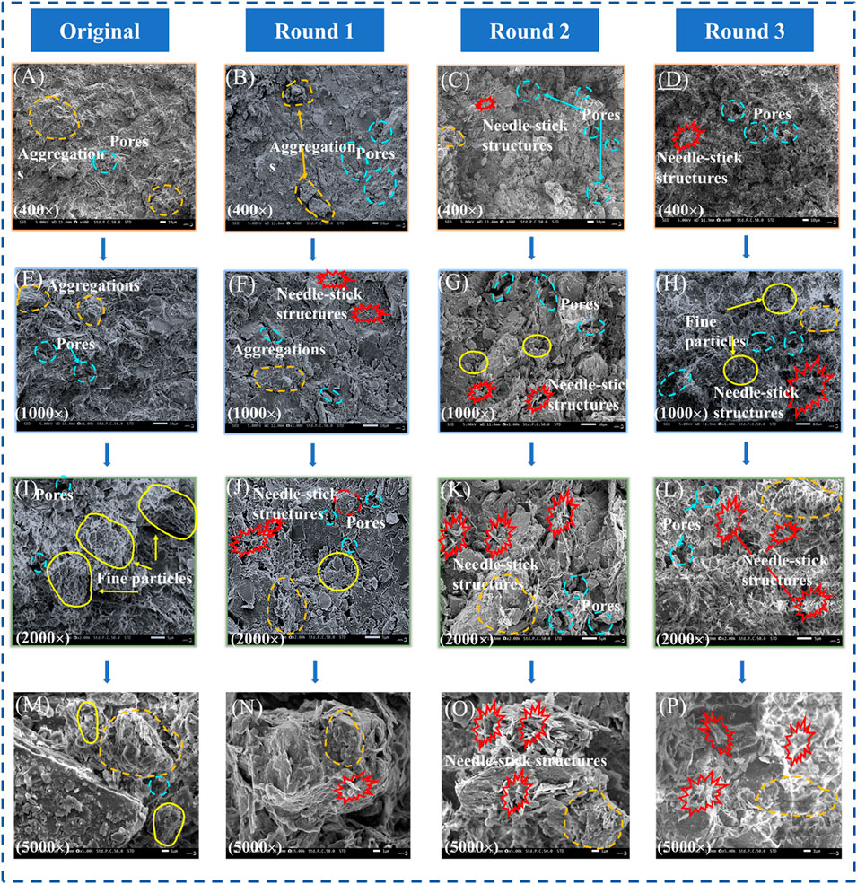A series of sixteen micrographs showing the progression of needle-stick structures, pores, and aggregations across four rounds at increasing magnifications (400x, 1000x, 2000x, 5000x). Each row represents a different magnification level, while each column corresponds to a different round. Labels indicate the presence of features such as