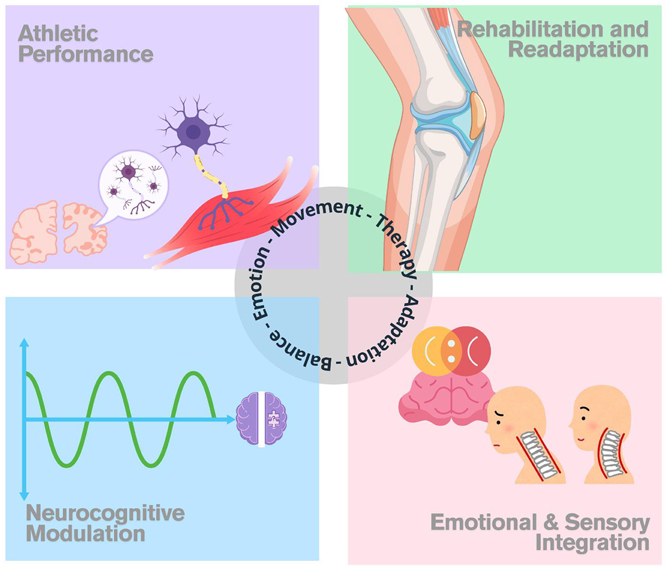 Illustration divided into four sections representing different concepts. Top left: “Athletic Performance” with a neuron and brain image. Top right: “Rehabilitation and Readaptation” with a knee joint. Bottom left: “Neurocognitive Modulation” with a brain and waveform. Bottom right: “Emotional & Sensory Integration” with brains and heads. Center circle reads, “Emotion - Movement - Therapy - Adaptation - Balance.”