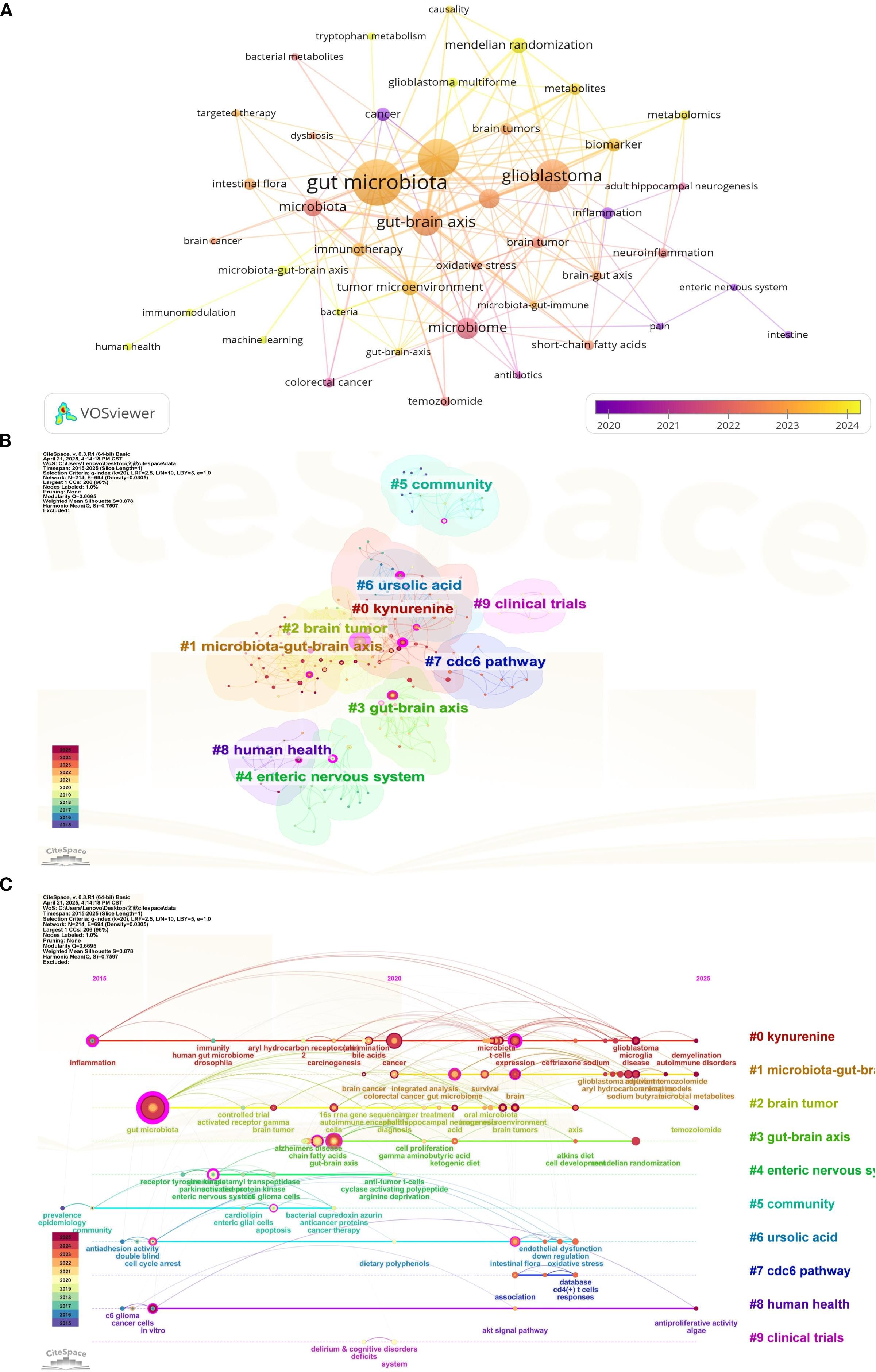 Three visualization panels of network maps related to gut microbiota research: A: A keyword co-occurrence network map highlighting terms like “gut microbiota,” “glioblastoma,” and “gut-brain axis,” with color-coding indicating year from 2020 to 2024. B: A cluster map with numbered clusters, discussing topics such as “kynurenine,” “brain tumor,” and “gut-brain axis,” labeled with colors from a range of topics. C: A temporal visualization map illustrating the evolution of research themes like “kynurenine” and “microbiota-gut-brain axis,” with timelines from 2015 to 2020, and clusters distinctly colored.