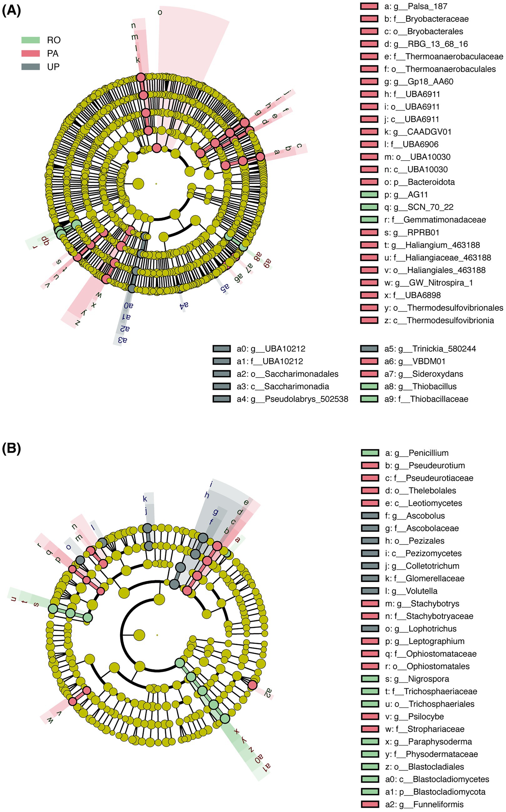 Circular diagrams labeled A and B show phylogenetic relationships among various microbial and fungal taxa. Each chart features concentric circles with nodes connected by lines. Sections are color-coded: pink for PA, green for RO, and gray for UP, as per the legend. Taxa are labeled with codes such as a, b, and c, corresponding to names listed beside the diagrams, indicating different microbial or fungal orders and families.