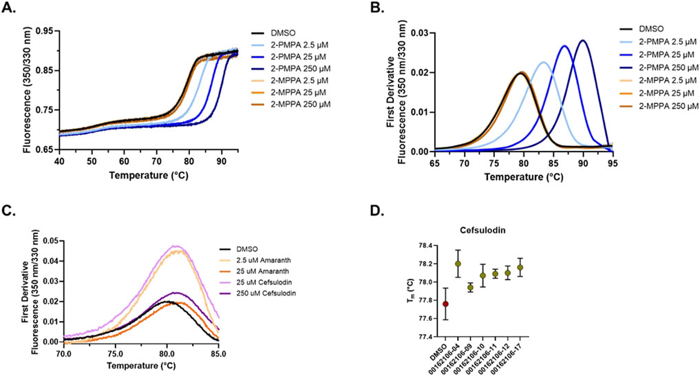 Graph A shows fluorescence versus temperature for different concentrations of 2-PMPA and 2-MPPA. Graph B displays the first derivative of fluorescence for these same conditions. Graph C illustrates the first derivative of fluorescence versus temperature for DMSO, Amaranth, and Cefsulodin at various concentrations. Graph D presents a plot of Tm values for Cefsulodin with different batch numbers along the x-axis, showing variability with error bars.