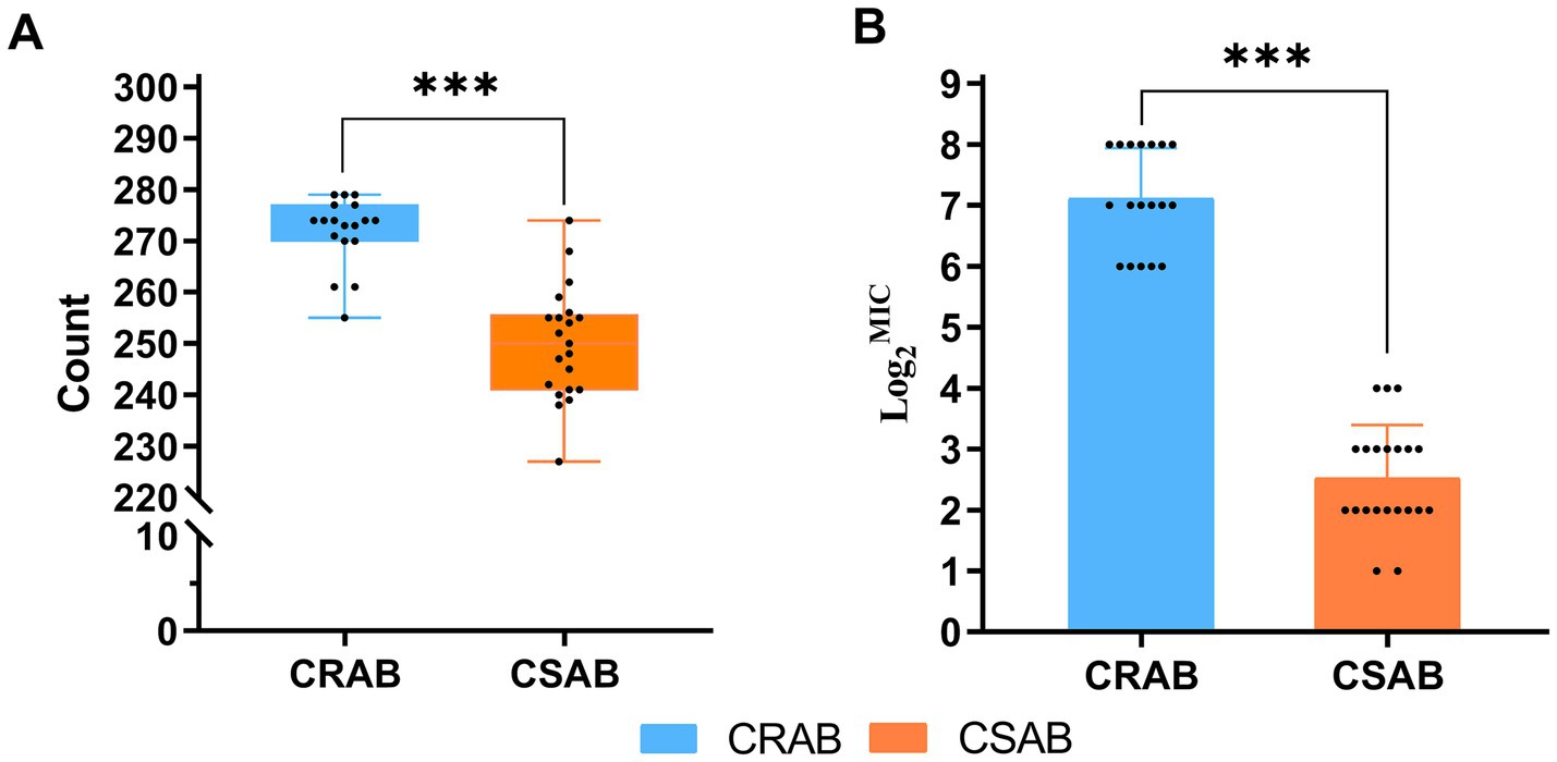 Two graphs labeled A and B compare CRAB and CSAB. Graph A is a box plot showing higher counts for CRAB than CSAB with a significant difference indicated by three asterisks. Graph B is a bar chart indicating CRAB has a higher logarithmic MIC value than CSAB, also with significant difference shown by three asterisks. CRAB is in blue, CSAB in orange.