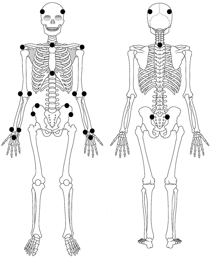 Illustration of two human skeletons viewed from the front and back. Black dots indicate the placement of retroreflective markers used in the three-dimensional motion analysis system at various joint locations, including the shoulders, elbows, wrists, hips, knees, and ankles. The skeletons illustrate the major bone structures, joint locations, and the arrangement of the retroreflective markers.