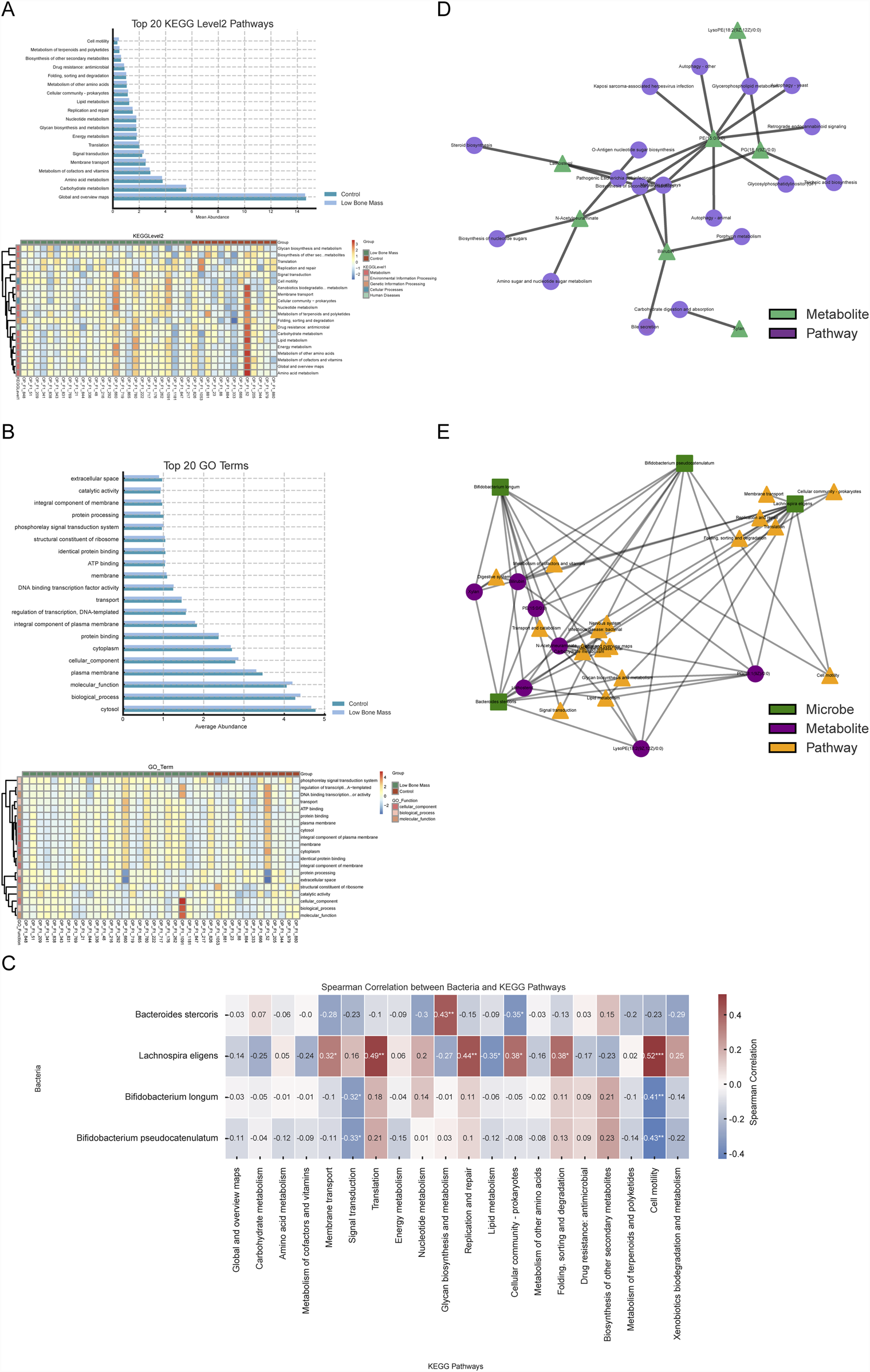 Flowchart depicting the selection process for a study on inpatient subjects aged fifty or older. Fifty-one eligible subjects were divided into controls, osteopenia, and osteoporosis groups. Metagenomic sequencing and metabolomics profiling were conducted. Twelve samples were excluded from sequencing, resulting in thirty-nine passing quality control (QC), while two were excluded from profiling, resulting in forty-nine passing QC. Analyzes include microbiota composition, characteristic species, metabolite composition, and function prediction. Ultimately, thirty-seven matched multi-omics data sets were obtained, with adjusted group sizes.