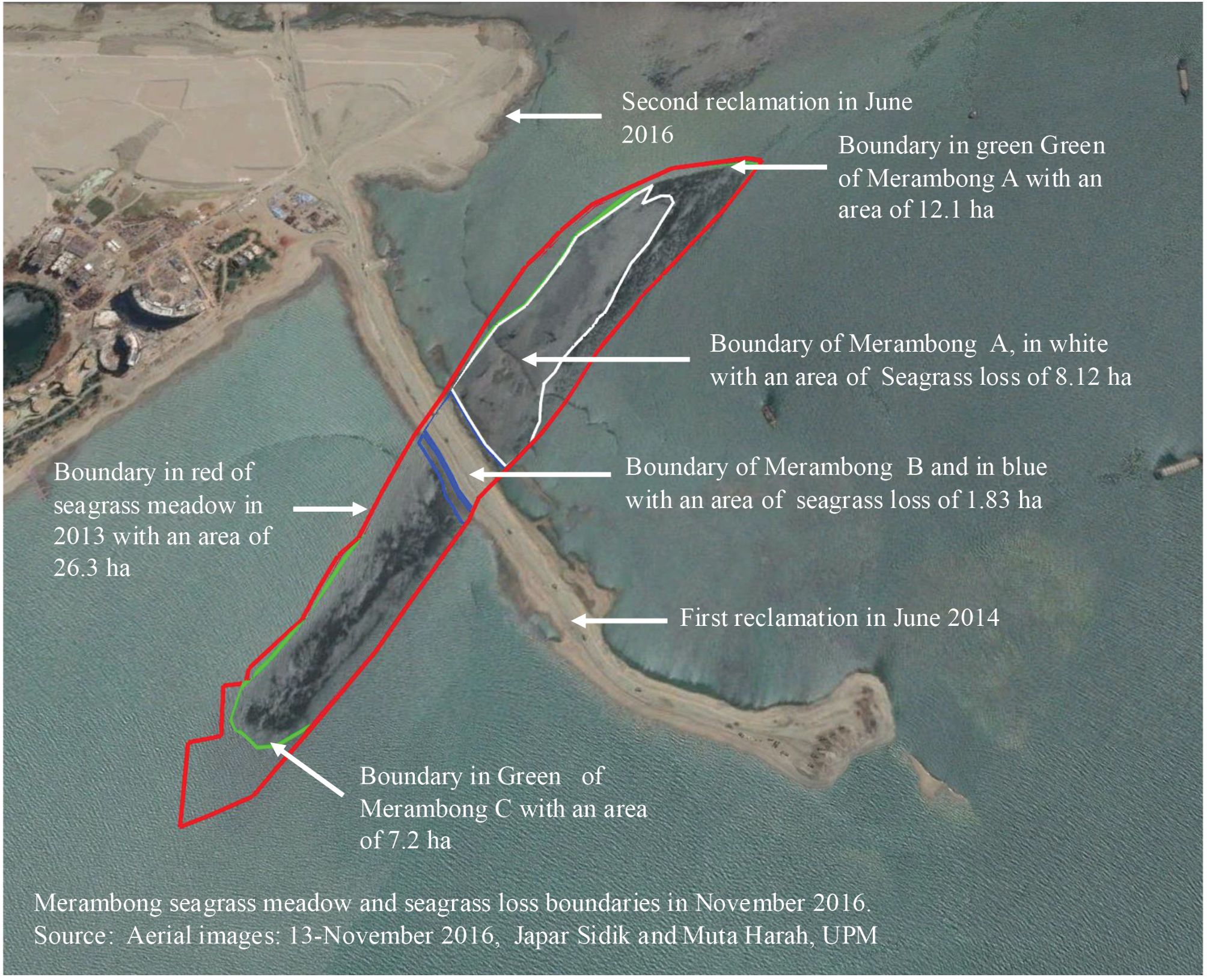 Aerial image showing the Merambong seagrass meadow and reclamation boundaries. Areas are outlined in red, green, white, and blue, indicating changes from 2013 to 2016. Red outlines a 26.3-hectare seagrass meadow in 2013. Green marks Merambong A (12.1 hectares) and C (7.2 hectares). White shows Merambong A's 8.12-hectare loss, while blue indicates Merambong B's 1.83-hectare loss. Labels note reclamation dates in June 2014 and June 2016. Image taken on November 13, 2016.