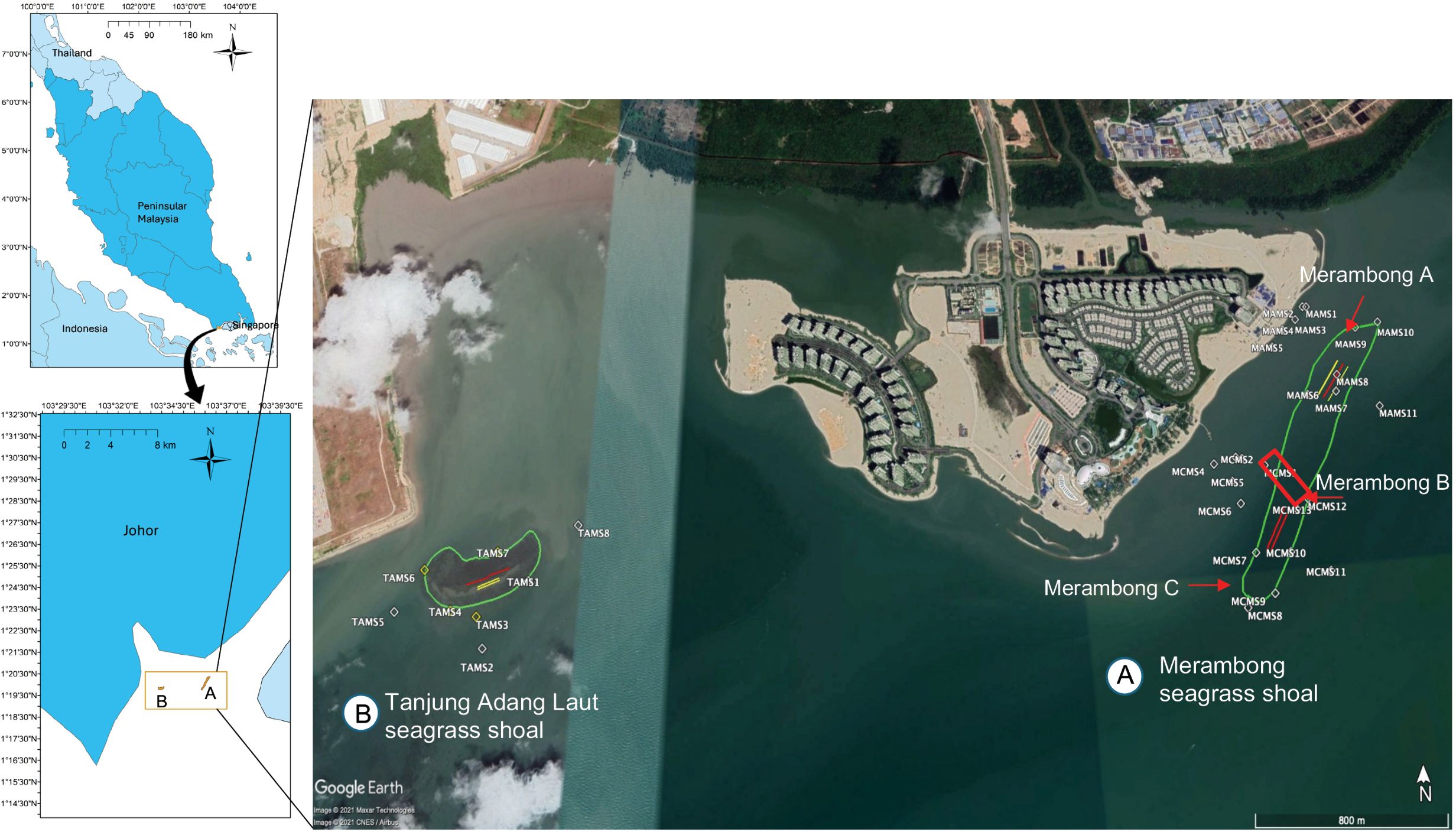 Map showing the location of Merambong seagrass shoal in Johor, Malaysia. Insets highlight Tanjung Adang Laut seagrass shoal and detailed aerial view with marked areas Merambong A, B, and C. Labels indicate specific site markers and surrounding geography.