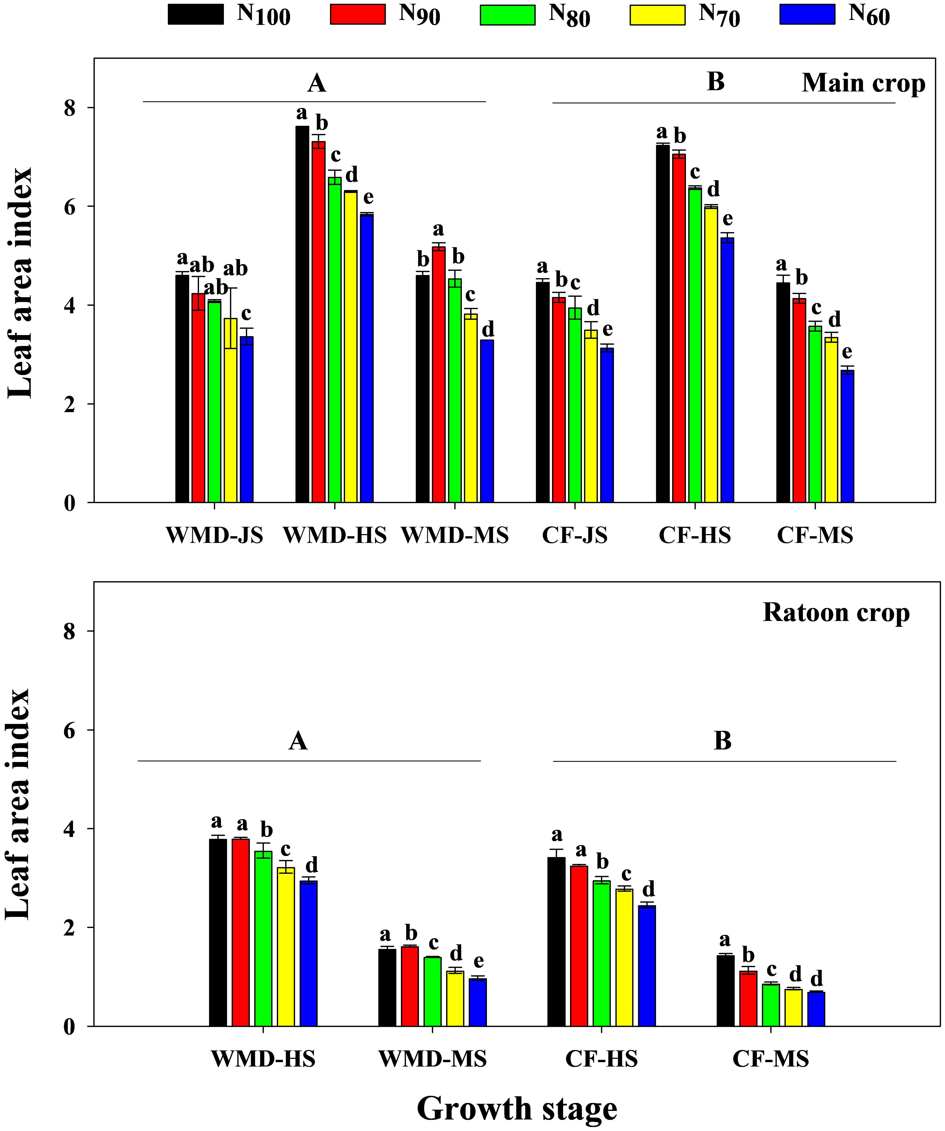 Bar chart displays leaf area index across different growth stages for main and ratoon crops. Main crop categories (A and B) show highest indices for N100 and N90 treatments, with decreasing values for N80, N70, and N60. Ratoon crop shows similar trends but with lower indices. Categories include WMD-JS, WMD-HS, WMD-MS, CF-JS, CF-HS, and CF-MS. Each bar is labeled with significance letters indicating statistical differences.