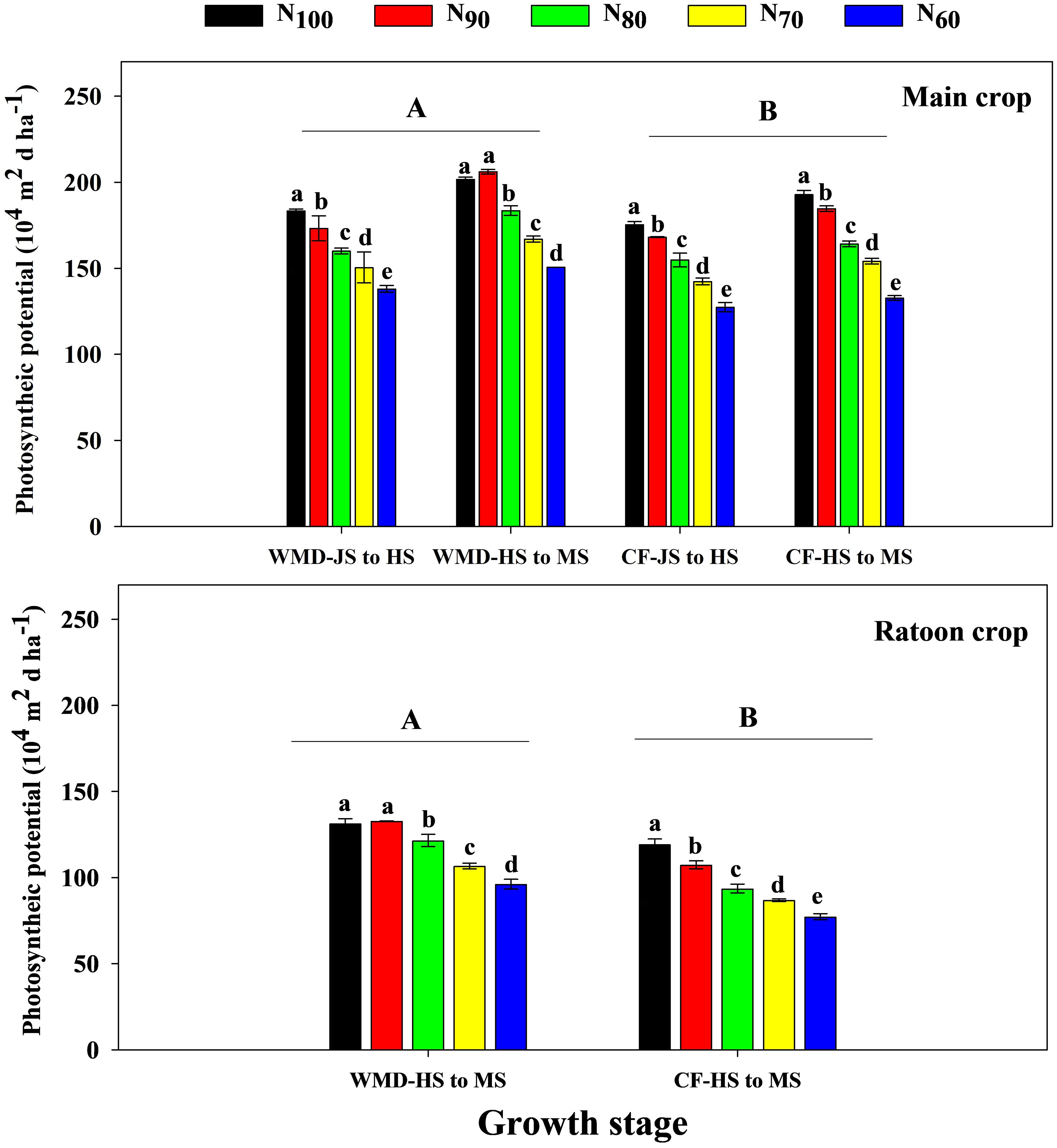 Bar charts compare the photosynthetic potential of main and ratoon crops across different nitrogen levels (N100, N90, N80, N70, N60) at various growth stages. The main crop shows higher photosynthetic potential than the ratoon crop. Both sections label groups A and B with distinct nitrogen treatments across growth stages like WMD-JS to HS and CF-JS to HS.