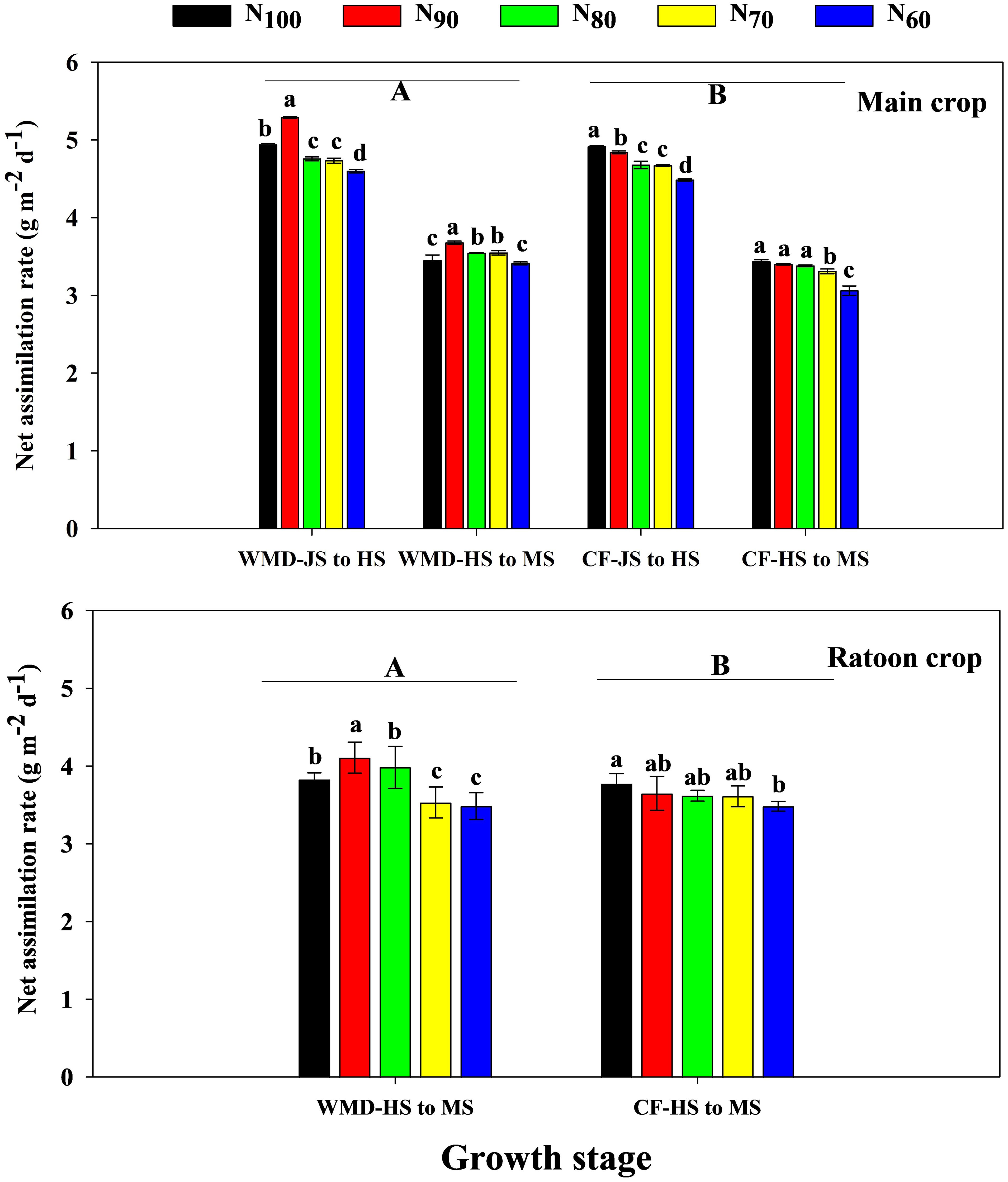 Bar charts compare net assimilation rates in grams per square meter per day for main and ratoon crops across different growth stages. Main crop stages are WMD-JS to HS, WMD-HS to MS, CF-JS to HS, and CF-HS to MS, with bars representing nitrogen levels: N100 (black), N90 (red), N80 (green), N70 (yellow), and N60 (blue). Each bar has a letter to indicate statistical significance. The ratoon crop has stages WMD-HS to MS and CF-HS to MS, following the same color and labeling pattern.