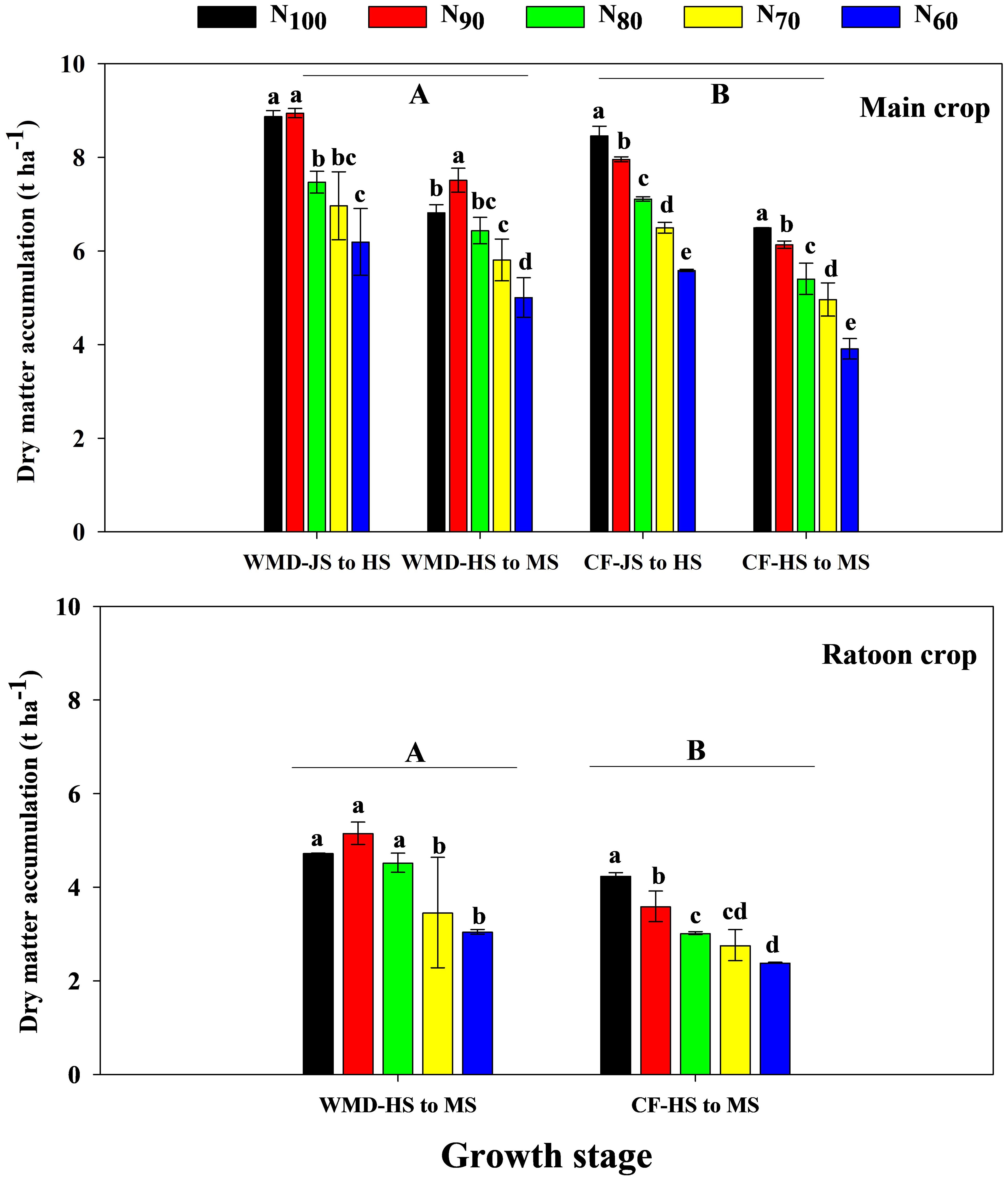 Bar charts display dry matter accumulation in main and ratoon crops at various growth stages. The main crop chart shows 5 treatments, N100 (black) to N60 (blue), across four stages: WMD-JS to HS, WMD-HS to MS, CF-JS to HS, and CF-HS to MS. The ratoon crop chart shows 5 treatments across two stages: WMD-HS to MS and CF-HS to MS. Each bar is labeled with letters indicating statistical differences. Accumulation is measured in tons per hectare.