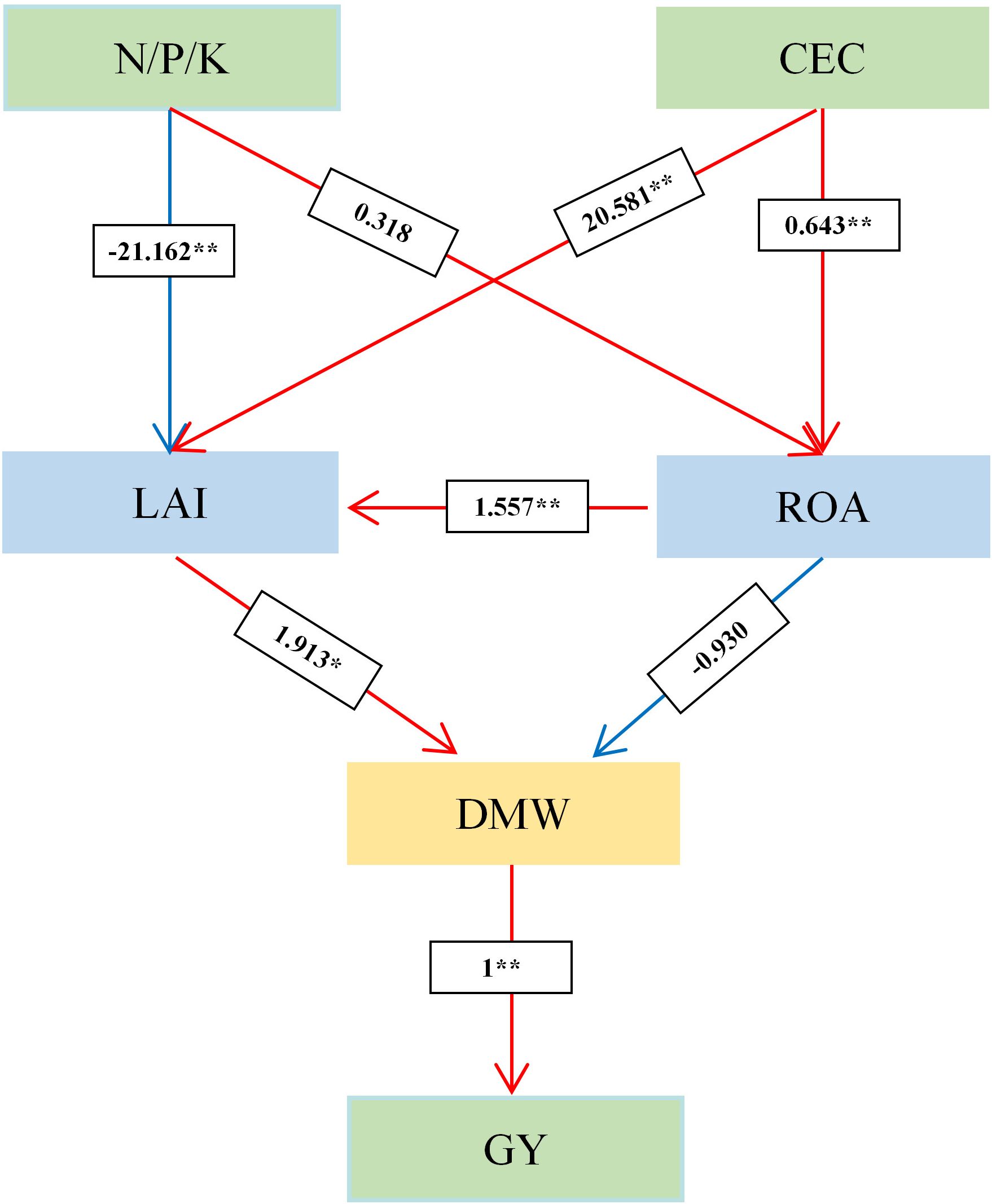 Diagram showing the relationships between N/P/K, CEC, LAI, ROA, DMW, and GY. Arrows indicate influence: N/P/K affects LAI (-21.162**) and ROA (0.318), CEC affects ROA (0.643**) and LAI (20.581**). LAI influences DMW (1.913*), and ROA affects DMW (-0.930). DMW impacts GY (1**). Color-coded boxes represent variables and direction of relationships.