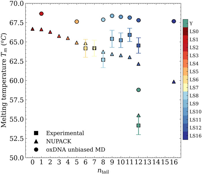 Graph depicting the melting temperature \(T_m\) (°C) against \(n_{\text{tail}}\) with data points represented by squares, triangles, and circles for experimental, NUPACK, and oxDNA unbiased MD methods, respectively. Colors indicate different LS values from LS0 to LS16, shown in a gradient sidebar from green to blue.
