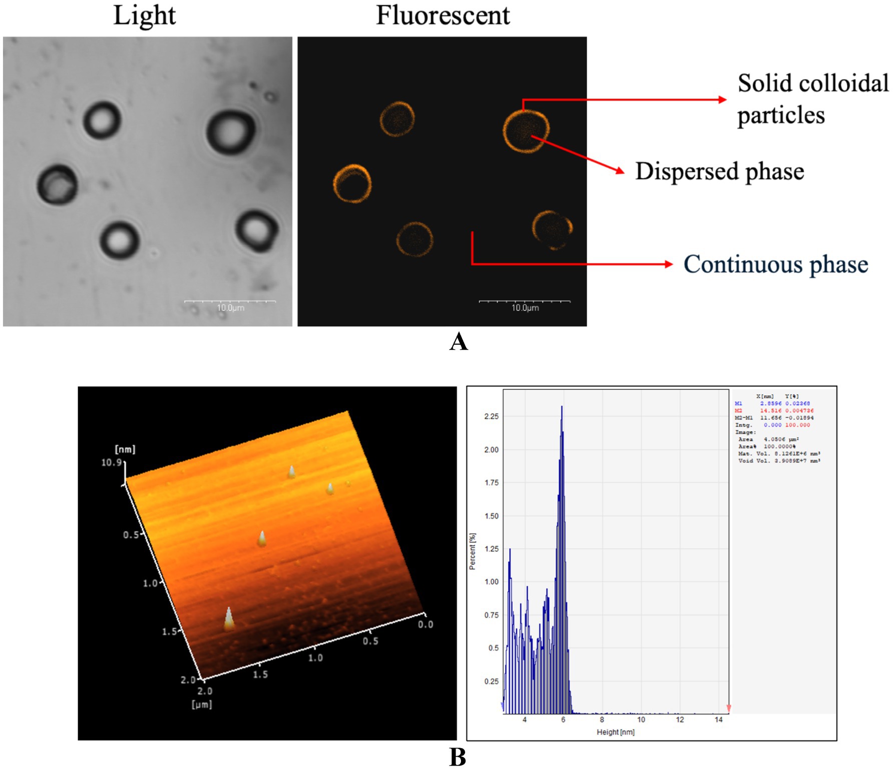 Panel A shows two images of colloidal particles. The left image is a light microscopy view with circular particles, while the right is a fluorescent image highlighting solid colloidal particles, dispersed and continuous phases with labels. Panel B includes a 3D surface plot, showing nanoscale features on an orange plane, and a histogram depicting height distribution with a focus around five nanometers.