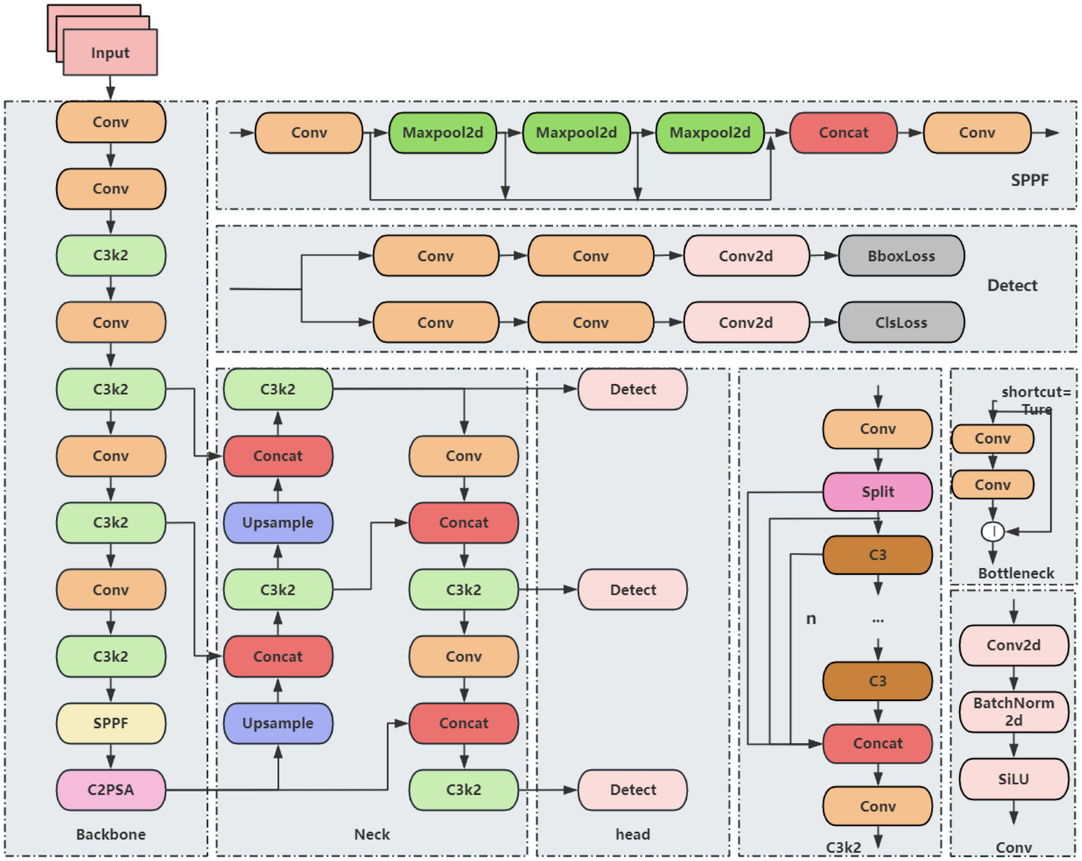 Flowchart of a neural network model architecture illustrating three main sections: Backbone, Neck, and Head. The Backbone includes multiple convolutional layers and blocks like C3k2 and SPPF. The Neck comprises convolution, concatenation, and upsampling layers. The Head demonstrates a detection mechanism, with branches for BboxLoss and ClsLoss. Components are interconnected, showing the data flow through different network segments.