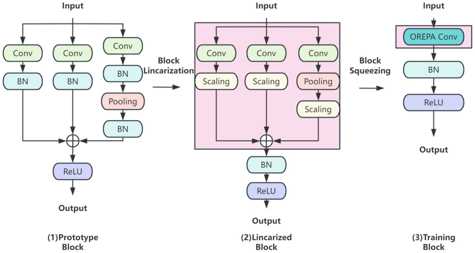 Diagram showing three stages of a neural network block transformation. Stage one: Prototype Block uses convolution, batch normalization, pooling, and ReLU layers. Stage two: Linearized Block includes convolution, scaling, pooling, and batch normalization within a pink box. Stage three: Training Block features OREPA convolution, batch normalization, and ReLU layers. Each stage transitions from input to output.