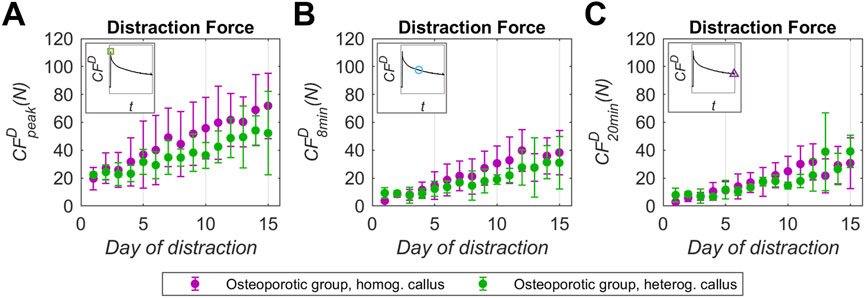 Figures 6A-C show the callus distraction force (CFD) recorded at the distraction performance (CFDpeak), and at 8 (CFD8min) and 20 (CFD20min) minutes post distraction during the 15 days of the distraction phase. Osteoporotic group with homogeneous callus presented in purple and osteoporotic group with heterogeneous callus in green.