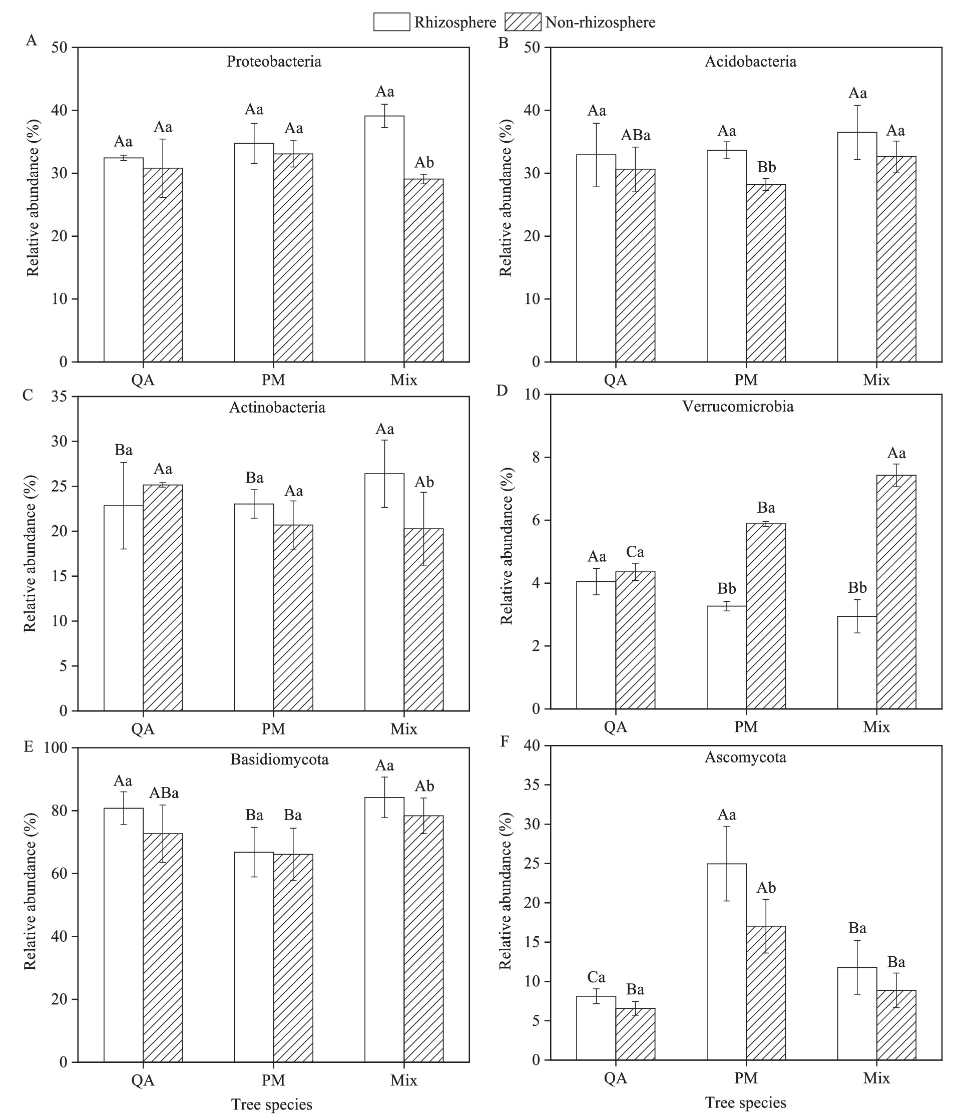 Bar charts showing the relative abundance (%) of microbial groups in rhizosphere and non-rhizosphere soils across three tree species: QA, PM, and Mix. Charts A to F represent Proteobacteria, Acidobacteria, Actinobacteria, Verrucomicrobia, Basidiomycota, and Ascomycota, respectively. Each chart compares abundances in rhizosphere (solid bars) and non-rhizosphere (striped bars) environments, with annotations indicating statistical significance levels.