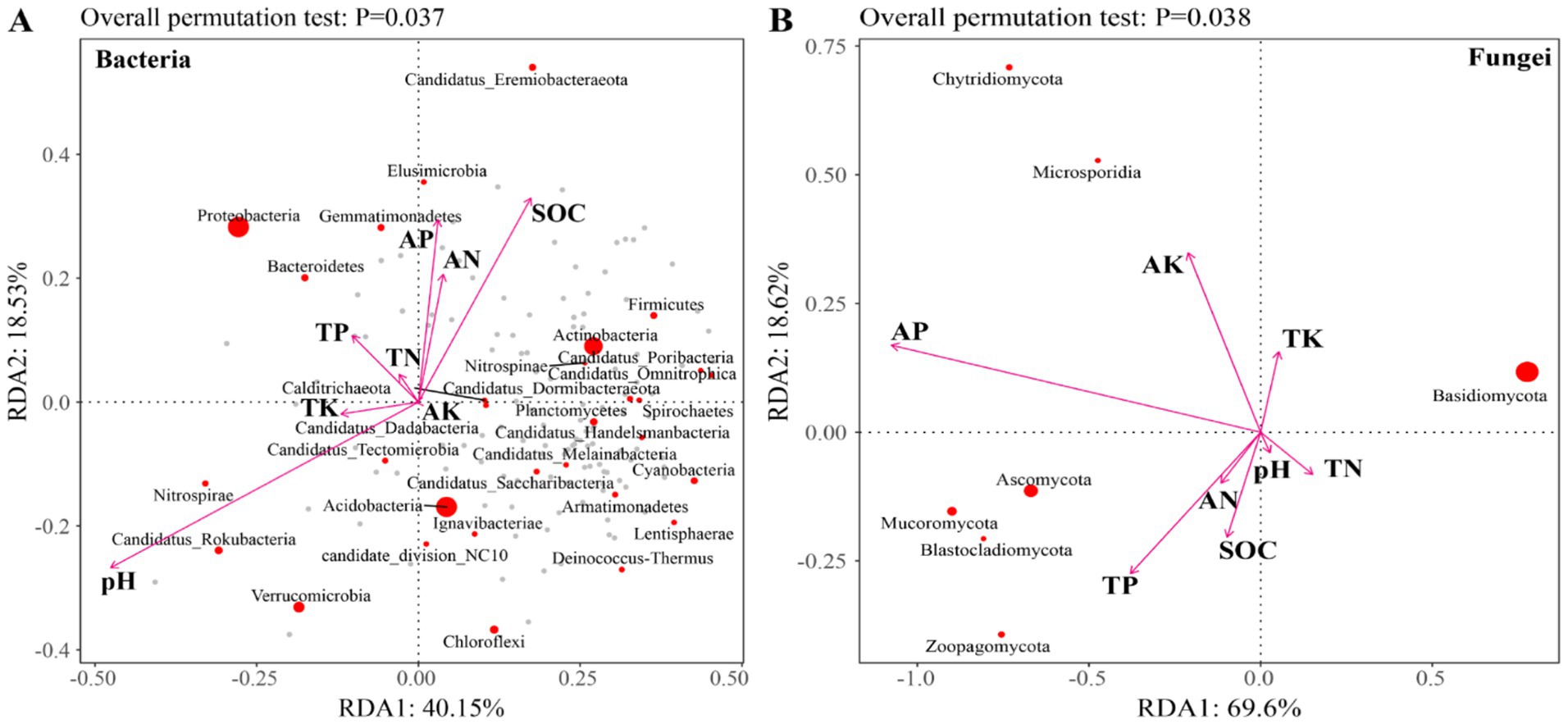 Two scatter plots labeled A and B depict results from redundancy analysis with overall permutation tests. Plot A represents bacteria, showing various phyla positioned along axes RDA1 (40.15% variance) and RDA2 (18.53% variance). Plot B represents fungi, with similar axes where RDA1 accounts for 69.6% variance and RDA2 for 18.62%. Arrows indicate environmental parameters impacting distribution, such as pH, SOC, TN, TP, TK, AK, AN, and AP. Text annotations identify specific microbial groups.