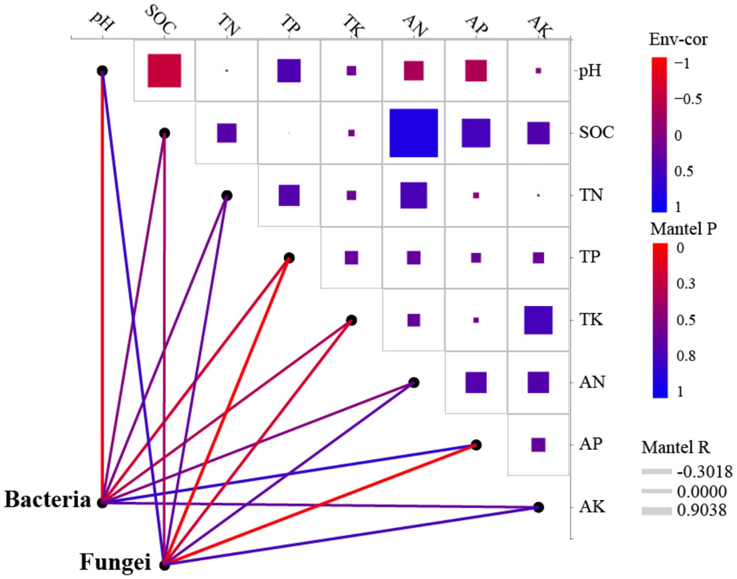 Correlation matrix displaying environmental correlations and Mantel test results between soil properties and bacterial and fungal communities. The matrix includes colored squares, with size and color indicating correlation strength and direction. Red indicates negative, blue positive correlations. Lines connect community types to soil properties, with color showing Mantel P values and thickness showing Mantel R values. The legend quantifies these.