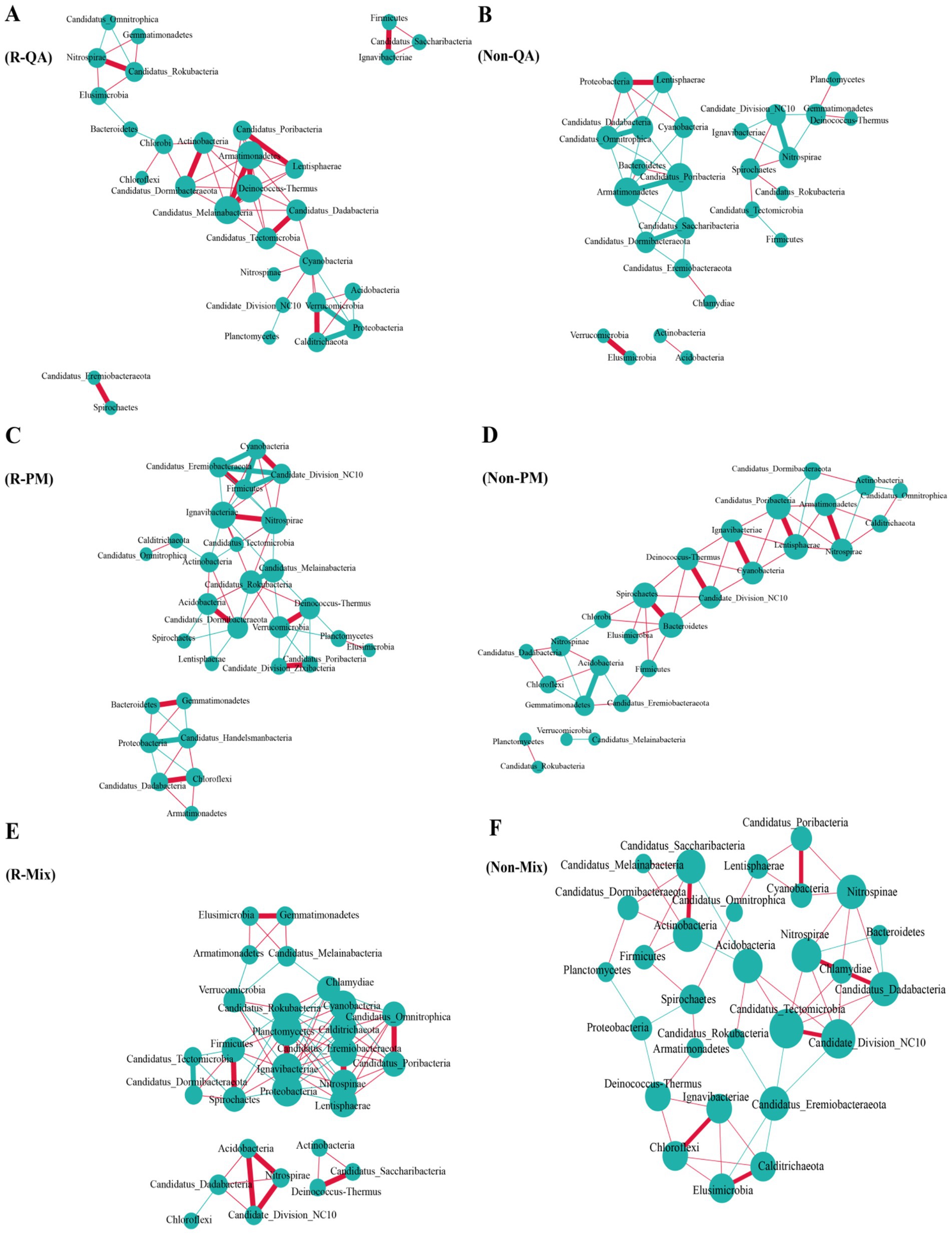 Six network graphs labeled A to F, each showing connections between different bacterial taxa. Nodes represent bacterial groups, and lines indicate relationships, with variations in network structure across each graph.