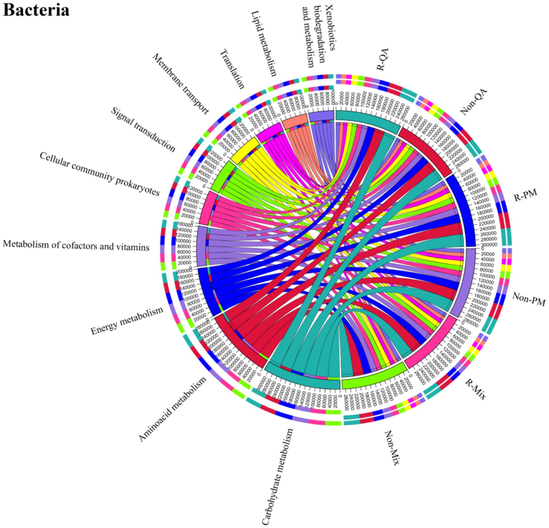 Circular diagram illustrating bacterial functions, showing connections between various metabolic processes, including amino acid, energy, and carbohydrate metabolism. Multiple colored segments represent different categories interconnected by arcs, indicating functional relationships.