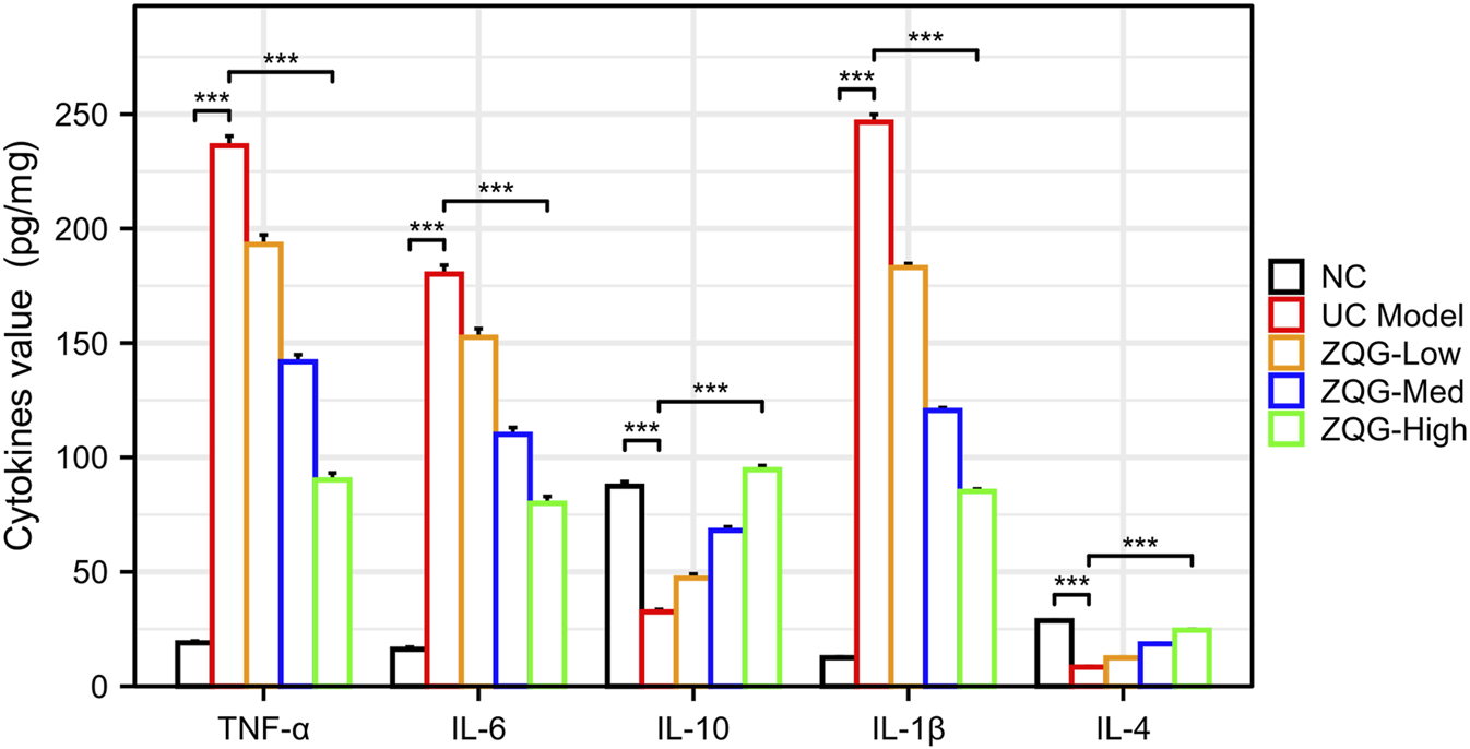 Bar graph showing cytokine values (pg/mg) for different groups: NC, UC Model, ZQG-Low, ZQG-Med, and ZQG-High. Cytokines measured are TNF-α, IL-6, IL-10, IL-1β, and IL-4. Significant differences are marked with asterisks. UC Model shows highest values, especially for TNF-α and IL-1β.