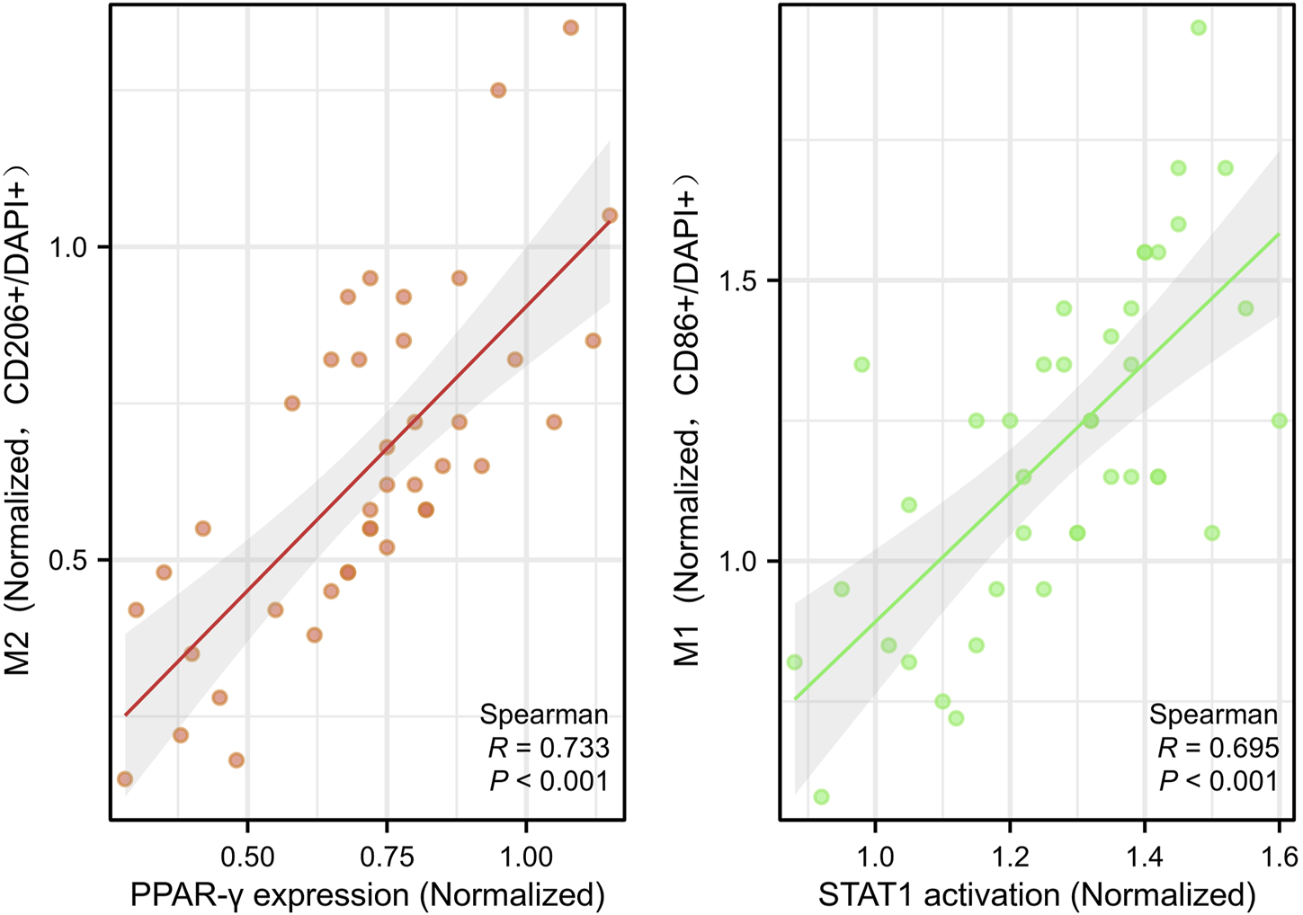 Scatter plots showing correlations between normalized expression and activation levels. Left plot: PPAR-γ expression versus M2 (CD206+/DAPI+), with a Spearman correlation of 0.733. Right plot: STAT1 activation versus M1 (CD86+/DAPI+), with a Spearman correlation of 0.695. Both have significant p-values below 0.001.