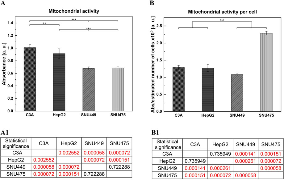 Graphs show mitochondrial activity levels in different cell lines. Panel A depicts absorbance measurements for C3A, HepG2, SNU449, and SNU475, with significant differences marked. Panel B displays mitochondrial activity per cell, showing higher activity for SNU475. Below, tables A1 and B1 provide statistical significance values for comparisons between the cell lines, highlighting significant values in red.