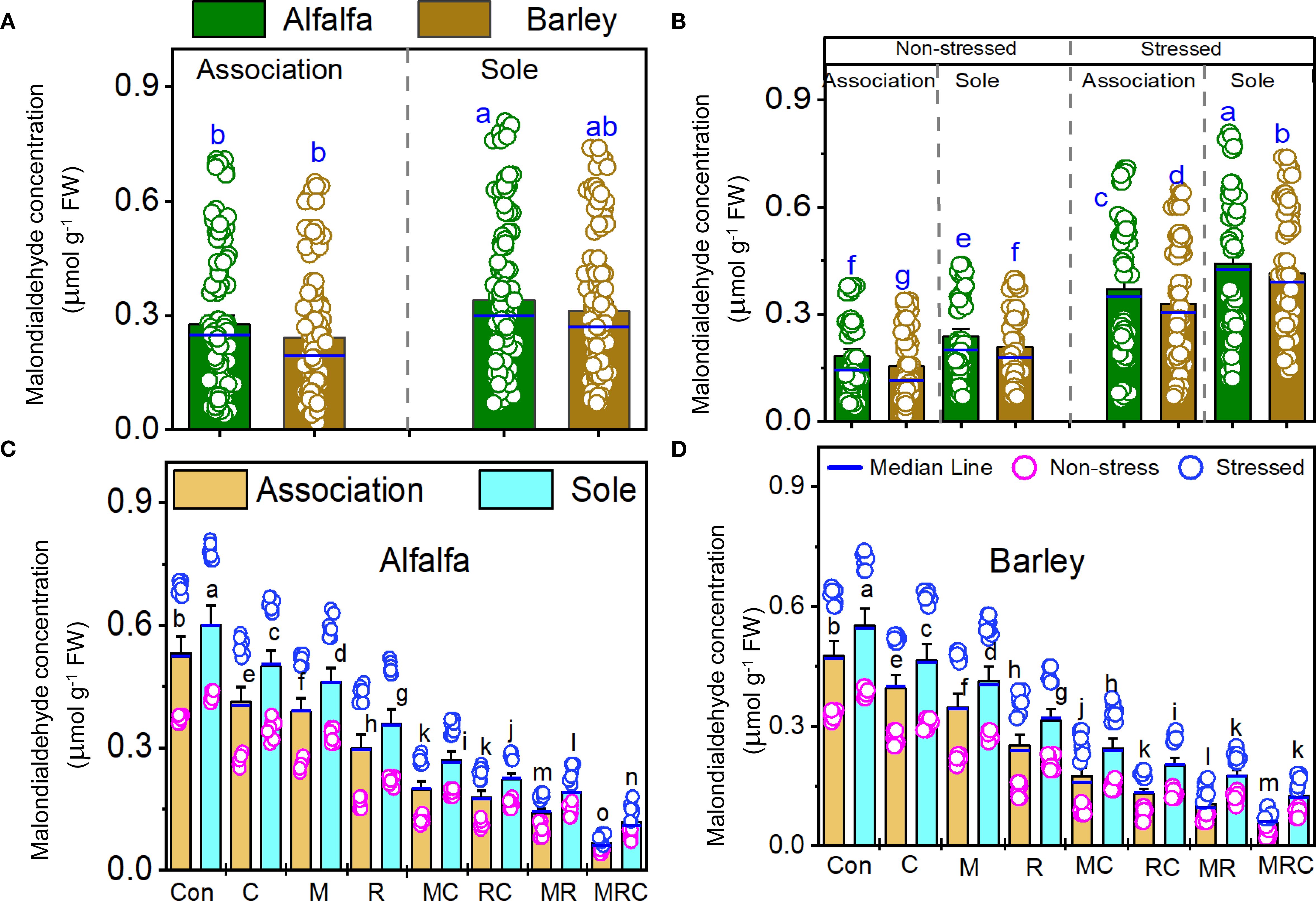 Bar charts displaying total sugar concentration (mg/g FW) in alfalfa and barley under different conditions. Panel A shows associated and sole crops. Panel B distinguishes non-stressed and stressed conditions. Panels C and D compare crop associations for alfalfa and barley, with median lines and data points for non-stressed and stressed states noted. Different letters indicate statistical differences between treatments.