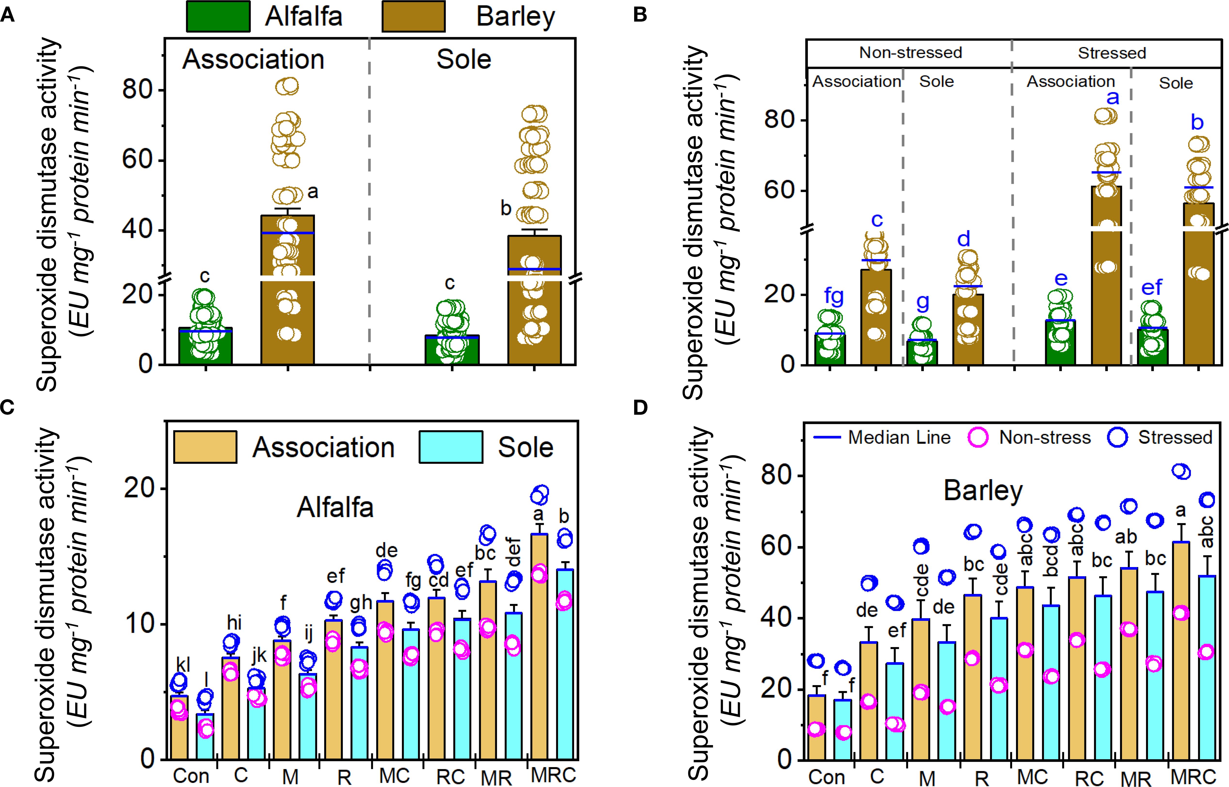Bar graphs compare superoxide dismutase activity in alfalfa and barley under various conditions. Panel A shows activity in associated and sole crops. Panel B compares non-stressed and stressed crops. Panels C and D detail activity in different crop associations for alfalfa and barley. Activity levels are indicated by height, with statistical significance marked by letters above each bar.