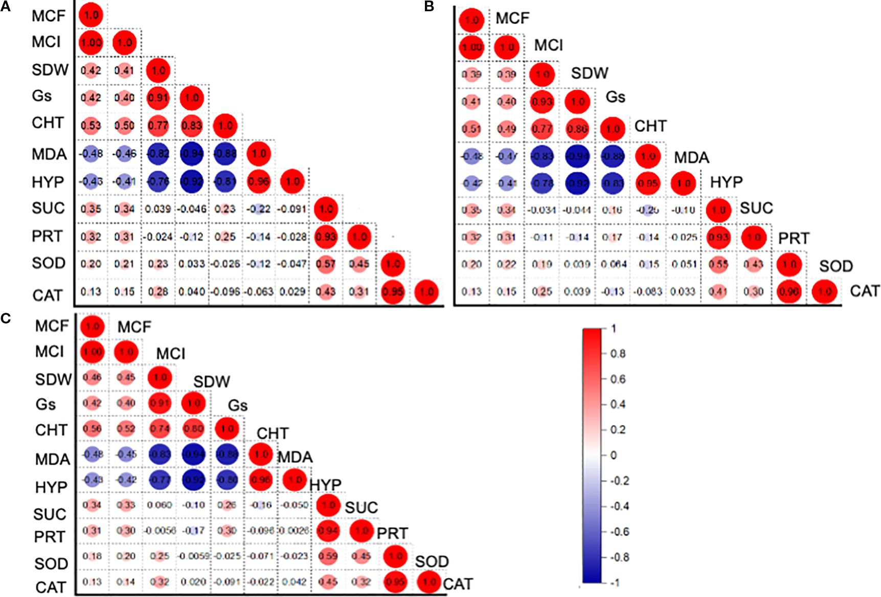 Heat maps labeled A, B, and C, displaying clusters and color gradients to represent variations in catalase activity, superoxide dismutase activity, sugar content, and other parameters. The columns are differentiated by treatments: Mycorrhiza, Rhizobacteria, Compost, and their combinations, with colors ranging from purple to yellow indicating different values. A legend on the right provides a scale from 9.2 to 92.0.