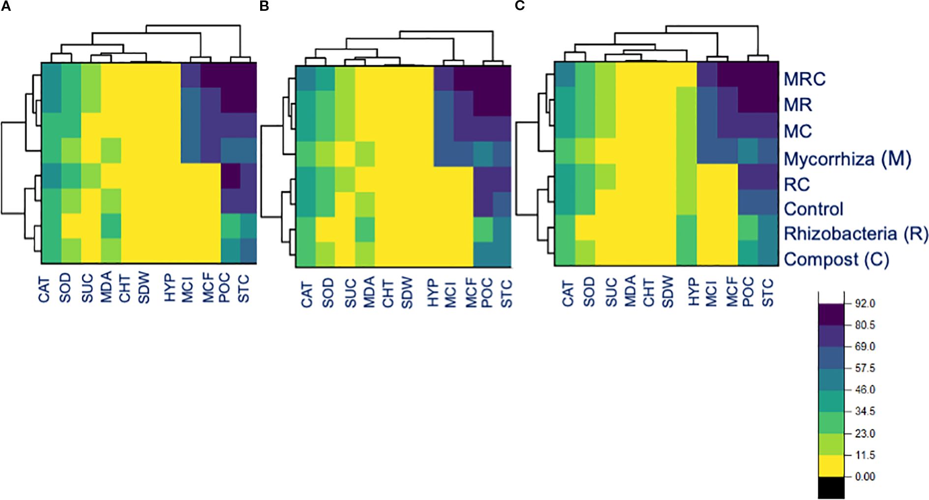 Correlation matrices comparing various plant and soil parameters across three conditions, labeled A, B, and C. Each matrix displays colored circles representing correlation coefficients, with a color scale ranging from blue (negative correlation) to red (positive correlation). Parameters include mycorrhizal colonization, shoot dry weight, and enzyme activity levels, among others.