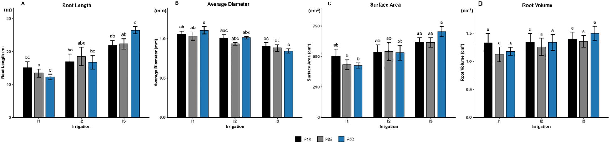 Bar graph showing the effects of irrigation (I1, I2, and I3) andphosphorus levels (P10, P25, P50) on stomatal conductance. Black, gray, and bluebars represent phosphorus treatments of 10, 25, and 50 kg ha⁻¹, respectively.Stomatal conductance values remain high under well-watered (I1) and moderateirrigation (I2) conditions but decline significantly under severe drought (I3). Errorbars indicate standard error of the mean, and lowercase letters denote statistically significant differences among treatments according to Tukey’s test (p < 0.05).