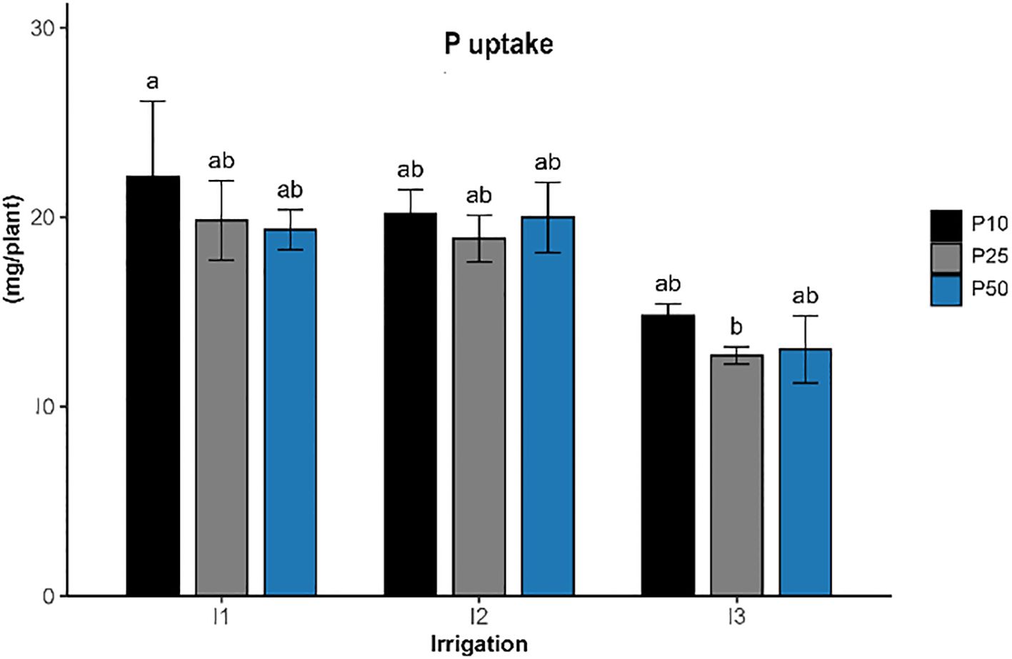 Bar graph showing the effects of irrigation (I1, I2, I3) andphosphorus levels (P10, P25, P50) on phosphorus (P) uptake per plant (mg plant⁻¹).Black, gray, and blue bars represent phosphorus levels of 10, 25, and 50 kg ha⁻¹,respectively. P uptake is highest under well-watered conditions (I1) and decreasesprogressively with increasing drought severity (I3). Differences among phosphoruslevels are minor but indicate slightly higher uptake under lower irrigation stress.Error bars represent standard error of the mean, and lowercase letters denotestatistically significant differences among treatments according to Tukey’s test (p <0.05).