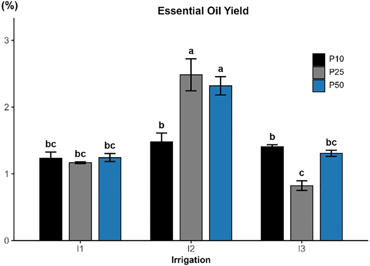 Bar graph showing the effects of irrigation (I1, I2, I3) andphosphorus levels (P10, P25, P50) on essential oil yield (%). Black, gray, and bluebars represent phosphorus levels of 10, 25, and 50 kg ha⁻¹, respectively. Essentialoil yield peaks under moderate irrigation (I2), especially with P25 and P50treatments, and decreases under both well-watered (I1) and severe drought (I3)conditions. Error bars represent standard error of the mean, and lowercase lettersabove bars denote statistically significant differences among treatments accordingto Tukey’s test (p < 0.05).