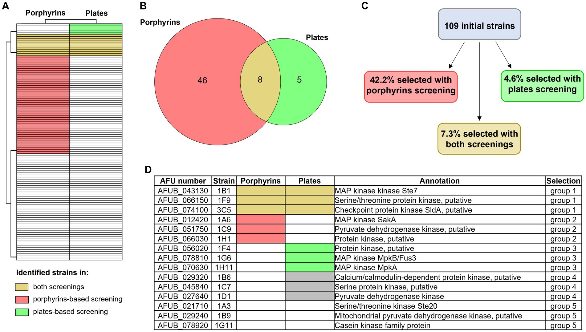 Heatmap, Venn diagram, flowchart, and table illustrate findings from a study on strain selection methods. The heatmap (A) shows strain identification using porphyrins and plates, highlighting overlap (yellow). The Venn diagram (B) displays 46 strains identified by porphyrins, 5 by plates, and 8 by both. The flowchart (C) indicates 42.2% strains selected by porphyrins, 4.6% by plates, and 7.3% by both from 109 initial strains. The table (D) lists AFU numbers, strains, screenings, annotations, and selection groups.