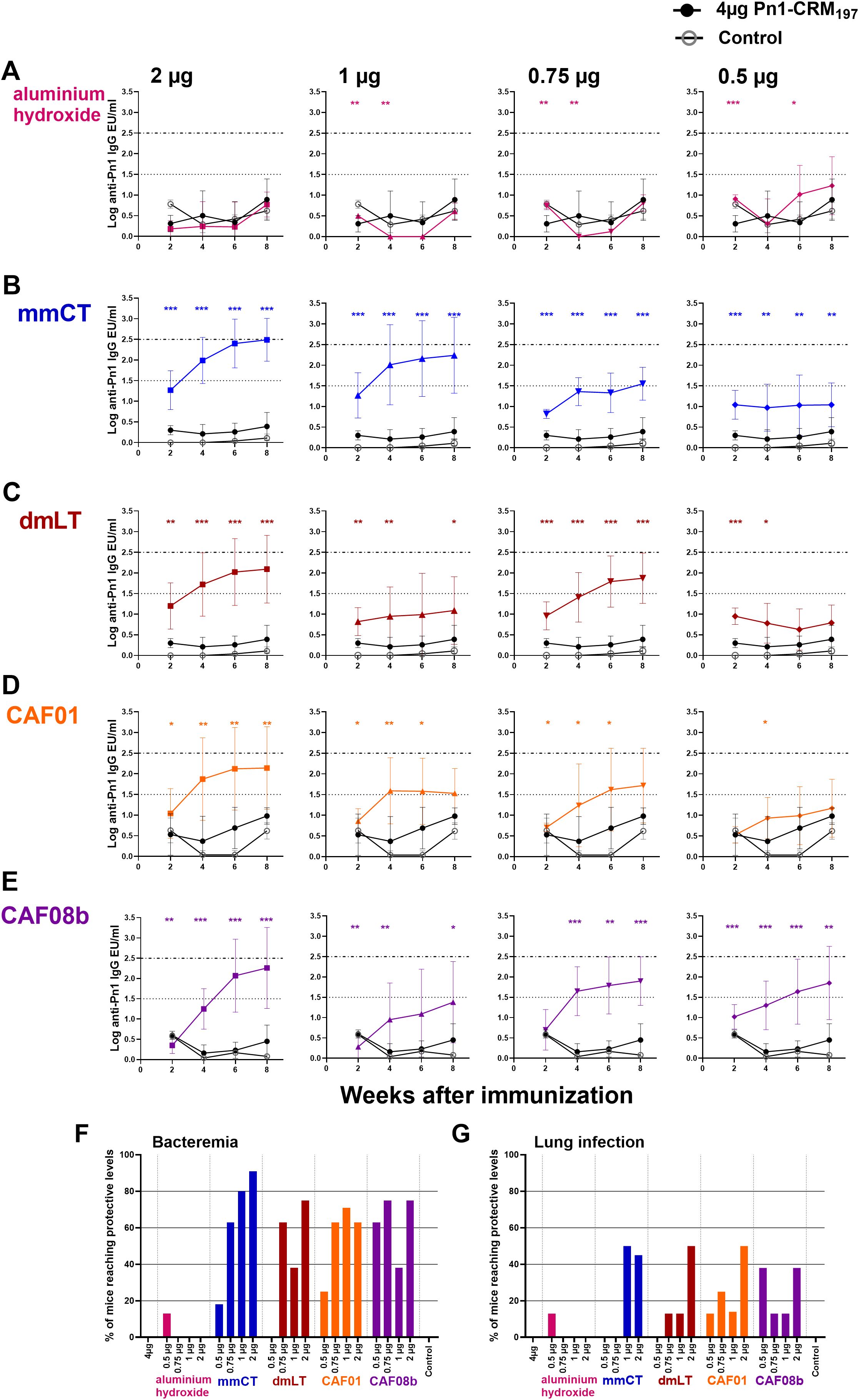 Graphs showing immune response and protective effects of different adjuvants at varying doses over weeks post-immunization. Panels A to E depict IgG levels for adjuvants: aluminum hydroxide, mmCT, dmLT, CAF01, and CAF08b. Panel F shows bacteremia protection percentages, and Panel G shows lung infection protection, both varying with adjuvant and dose. Error bars indicate variability.