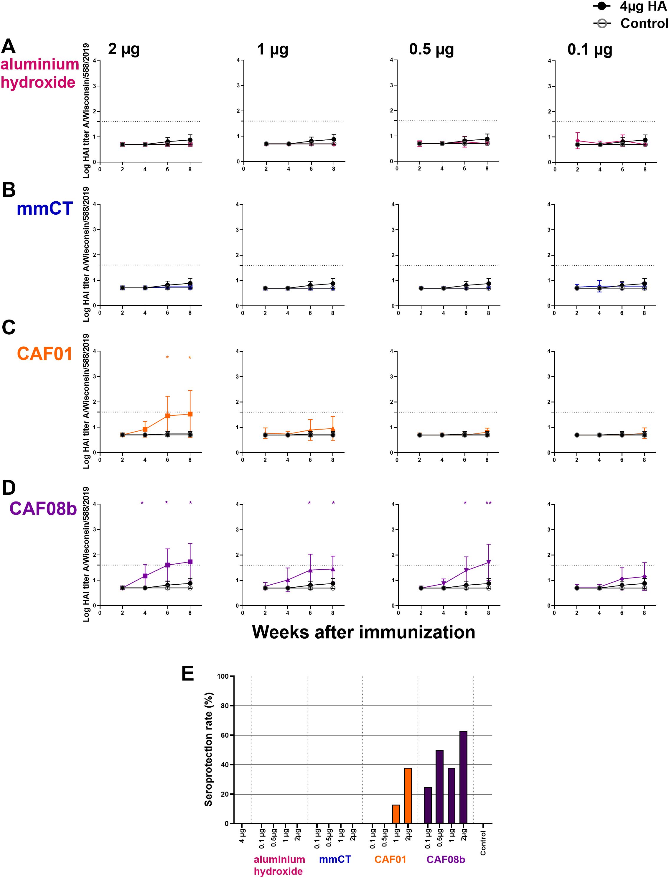 Line charts display the cross-protective log HAI titer over weeks after immunization with different doses of HA and adjuvants: aluminium hydroxide (A), mmCT (B), CAF01 (C), and CAF08b (D), comparing to four microgram HA and control. Graph E depicts cross-reactive seroprotection rates across adjuvants and doses, highlighting increased protection with CAF08b at lower doses.