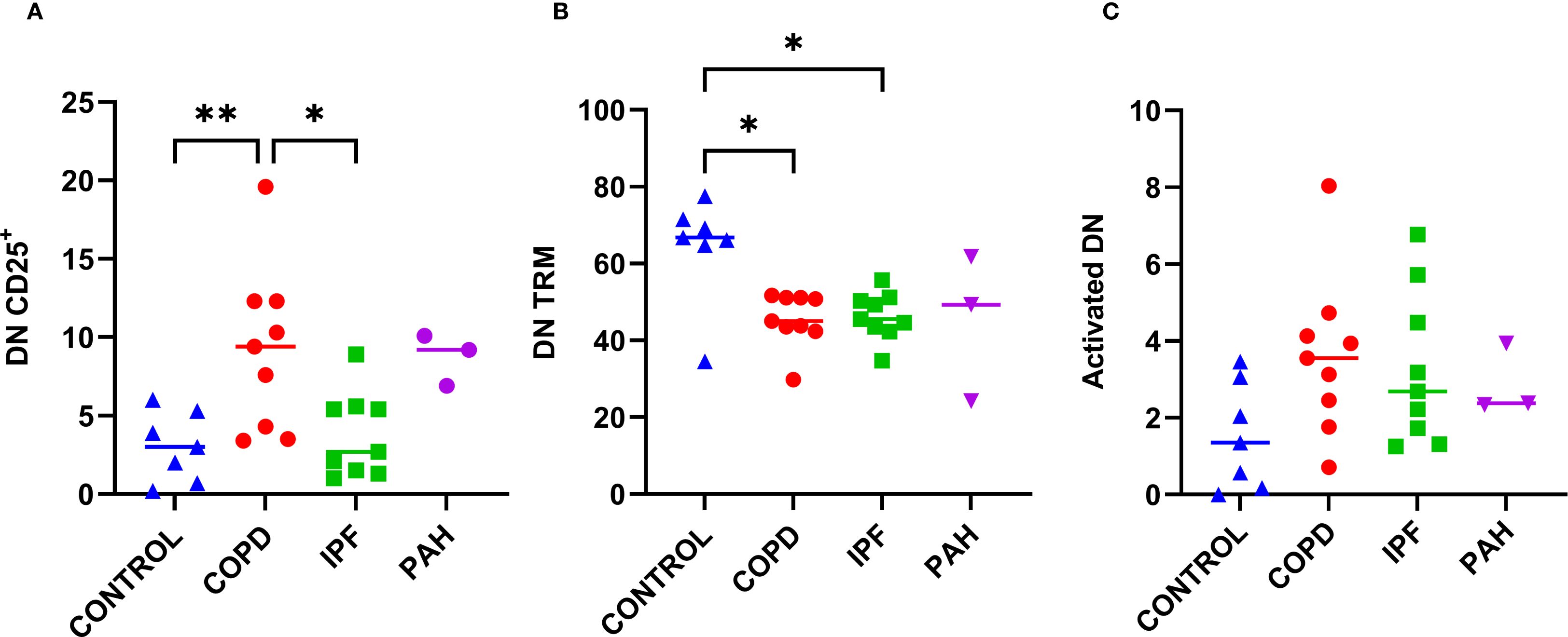 Three scatter plots compare different groups: CONTROL, COPD, IPF, and PAH. Panel A shows DN CD25+ levels, with COPD significantly higher than CONTROL and IPF. Panel B depicts DN TRM levels, noting an increase in CONTROL versus COPD and IPF. Panel C illustrates Activated DN levels, with no significant differences noted among groups. Each group uses distinct symbols and colors, with mean lines included.